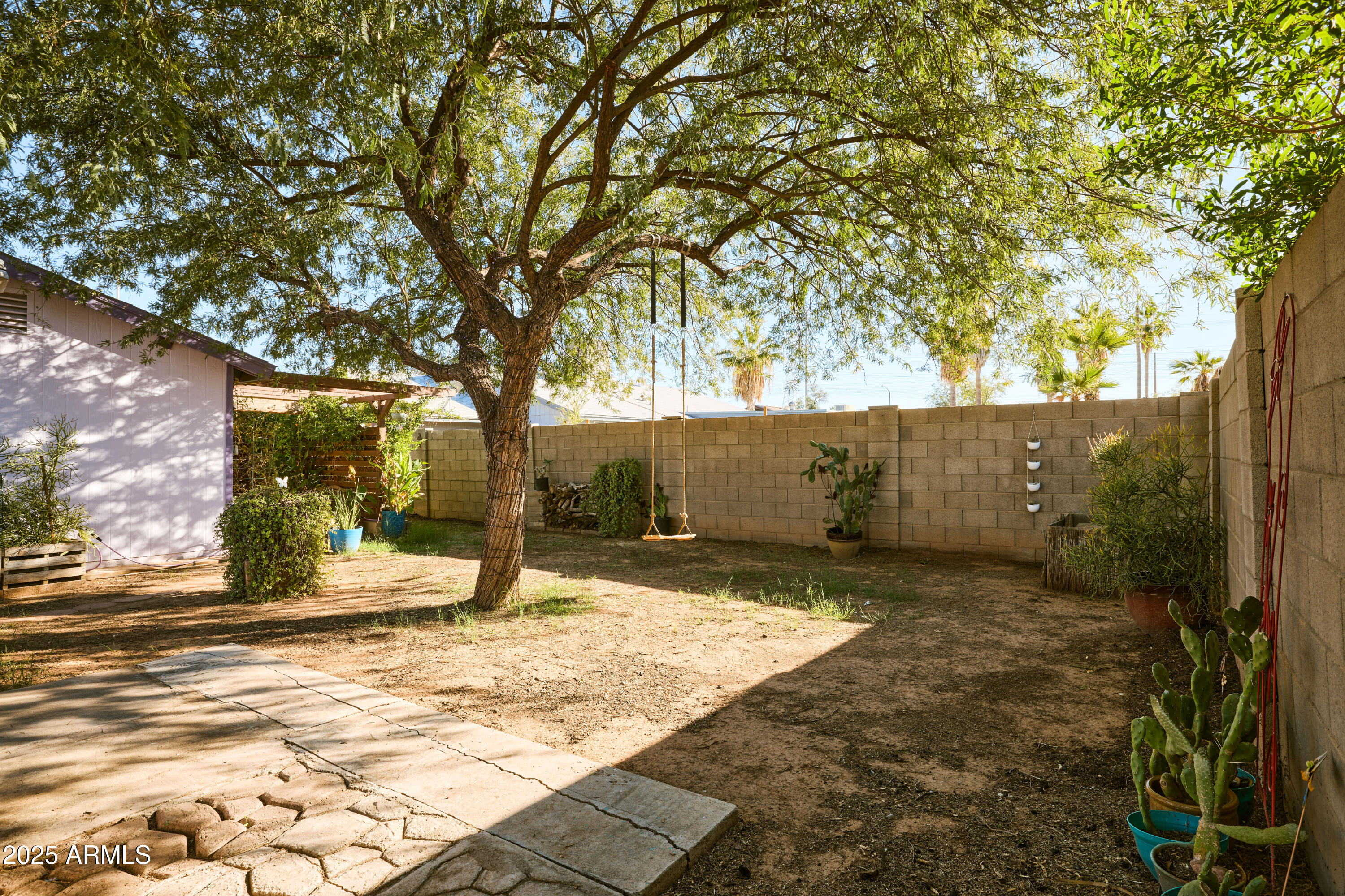 3124 South Los Altos Mesa, AZ 85202 - Photo 26 of 28 Backyard