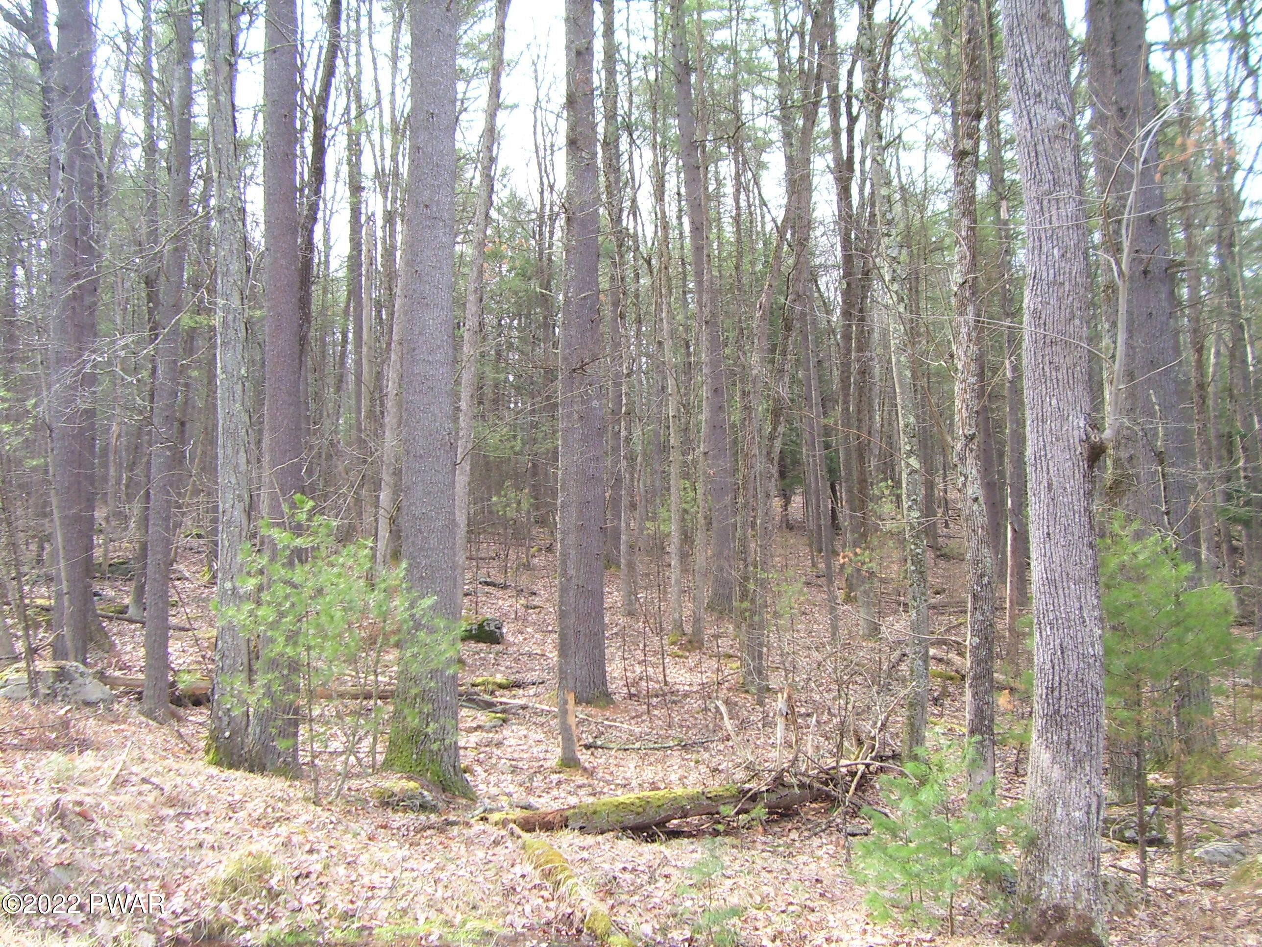 Lot 402 Creek Road Hawley, PA 18428 - Photo 5 of 17