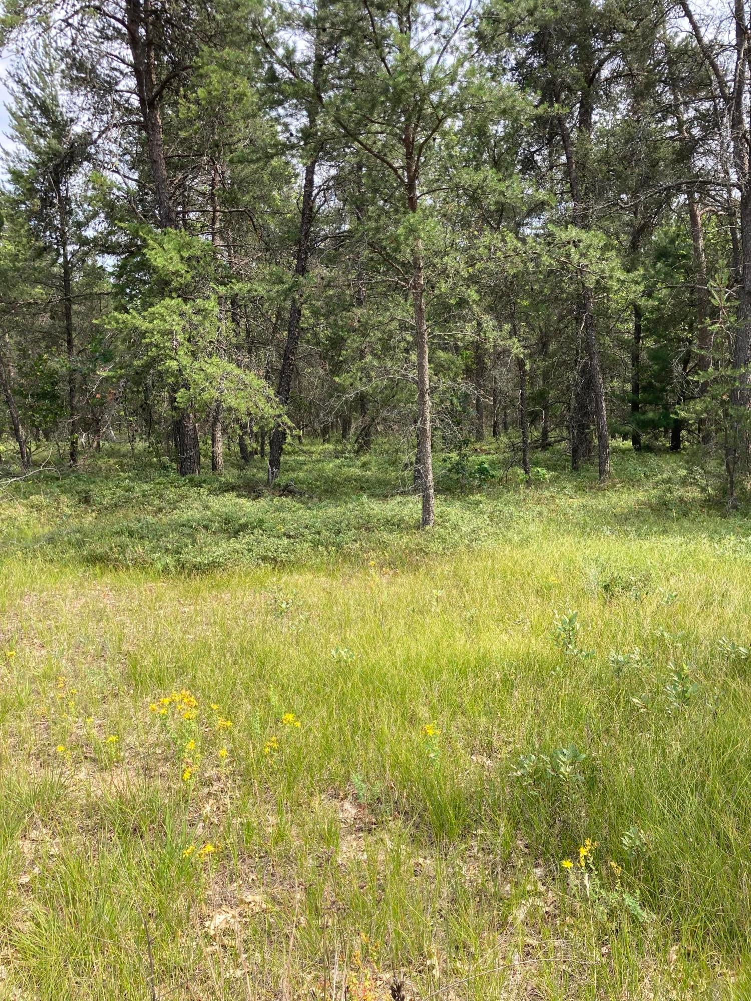 658 Shadow Land Road Grayling, MI 49738 - Photo 37 of 37 Gallery Image 37