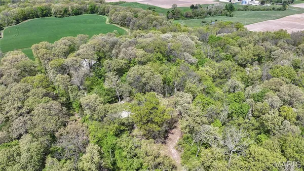 $495,000 | 19383 Deer Run Lane, Brighton, IL 62012