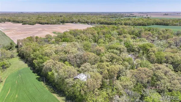 $495,000 | 19383 Deer Run Lane, Brighton, IL 62012