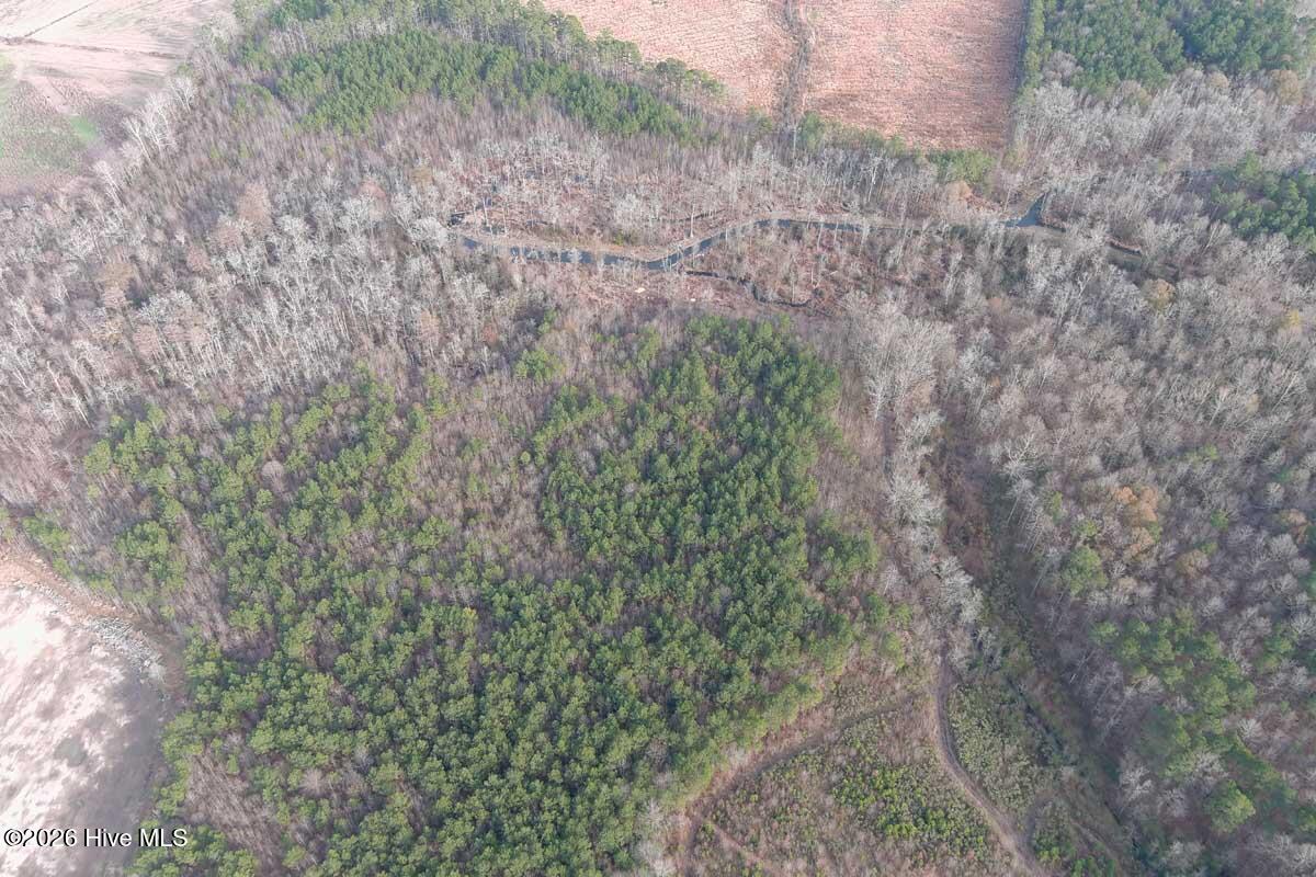 0 South Grimesland Bridge Road Grimesland, NC 27837 - Photo 16 of 46 MAX_0161