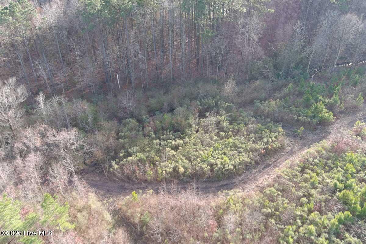 0 South Grimesland Bridge Road Grimesland, NC 27837 - Photo 31 of 46 MAX_0177