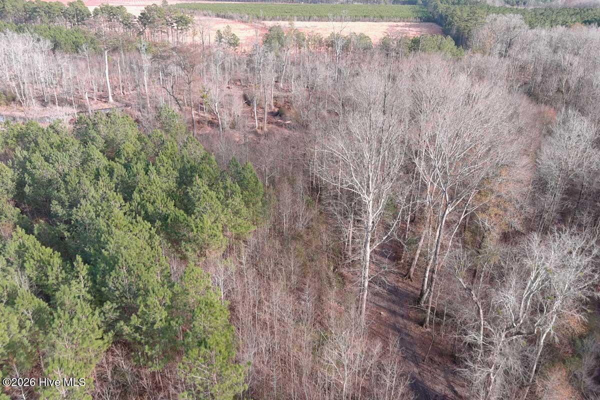 0 South Grimesland Bridge Road Grimesland, NC 27837 - Photo 32 of 46 MAX_0178