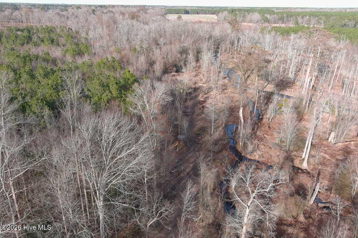 0 South Grimesland Bridge Road Grimesland, NC 27837 - Photo 35 of 46 MAX_0181