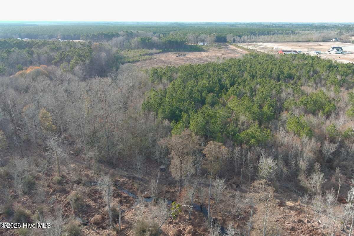 0 South Grimesland Bridge Road Grimesland, NC 27837 - Photo 39 of 46 MAX_0185