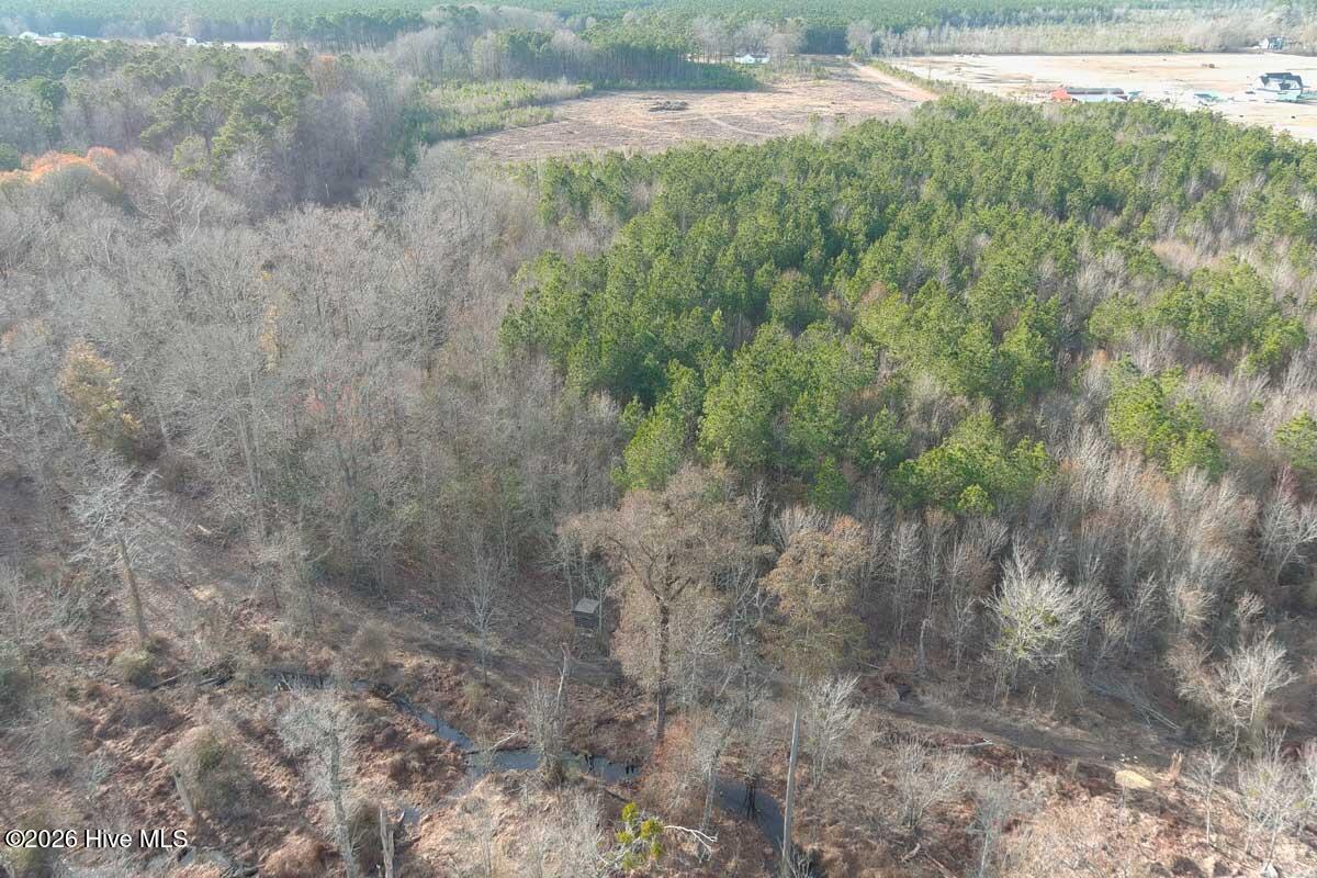 0 South Grimesland Bridge Road Grimesland, NC 27837 - Photo 40 of 46 MAX_0186