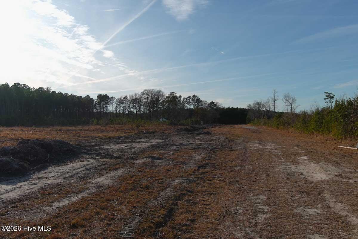 0 South Grimesland Bridge Road Grimesland, NC 27837 - Photo 45 of 46 MAX_0192