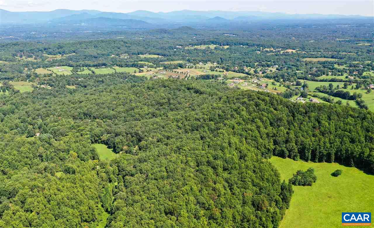 0 Ragged Mountain Drive Charlottesville, VA 22903 - Photo 5 of 8 a view of a lush green field with lots of bushes and trees
