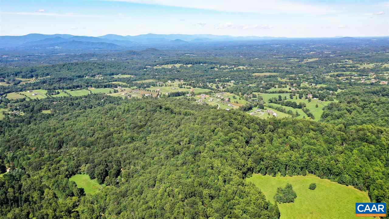 0 Ragged Mountain Drive Charlottesville, VA 22903 - Photo 6 of 8 a view of a lush green field with lots of plants in it