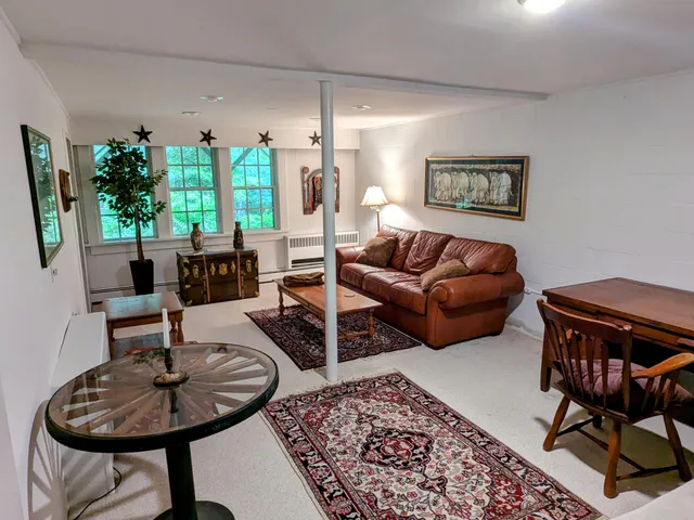 a living room with furniture and a potted plant