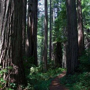 a view of outdoor space with a garden