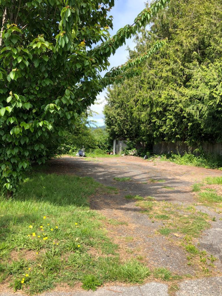 37 Lowell Street Orick, CA 95555 - Photo 3 of 31 a view of yard with green space