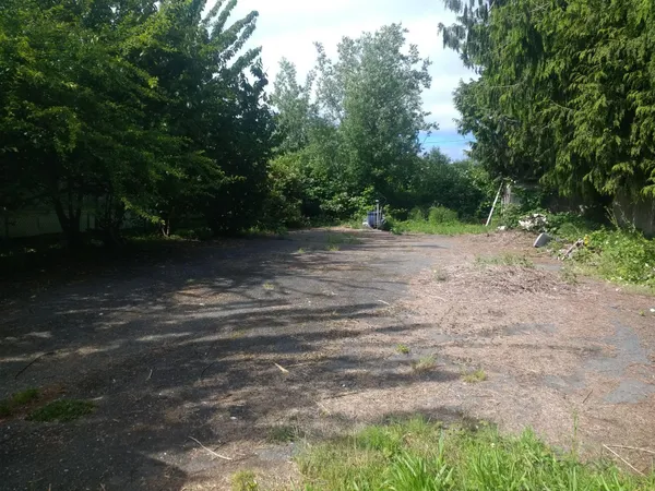 a view of a dirt road with trees in the background