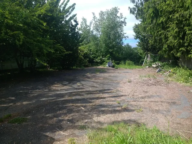 a view of a dirt road with trees in the background