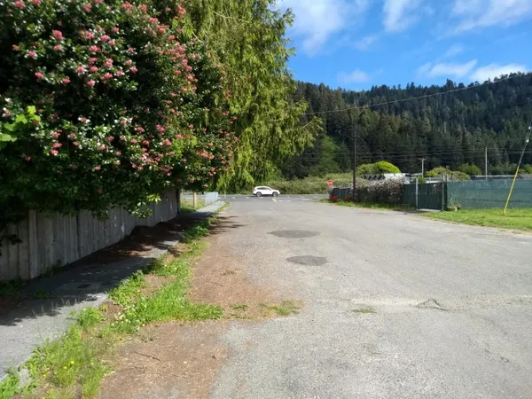 a view of a park with large trees