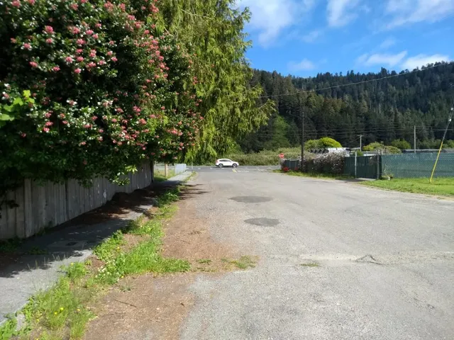 a view of a park with large trees