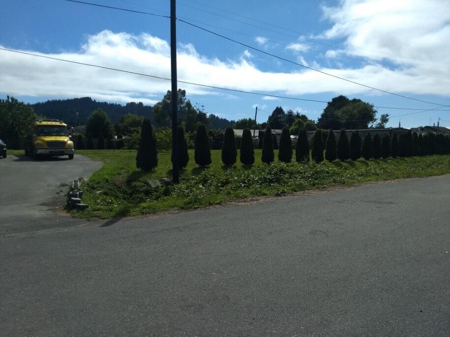 37 Lowell Street Orick, CA 95555 - Photo 7 of 31 a view of a city street from a building