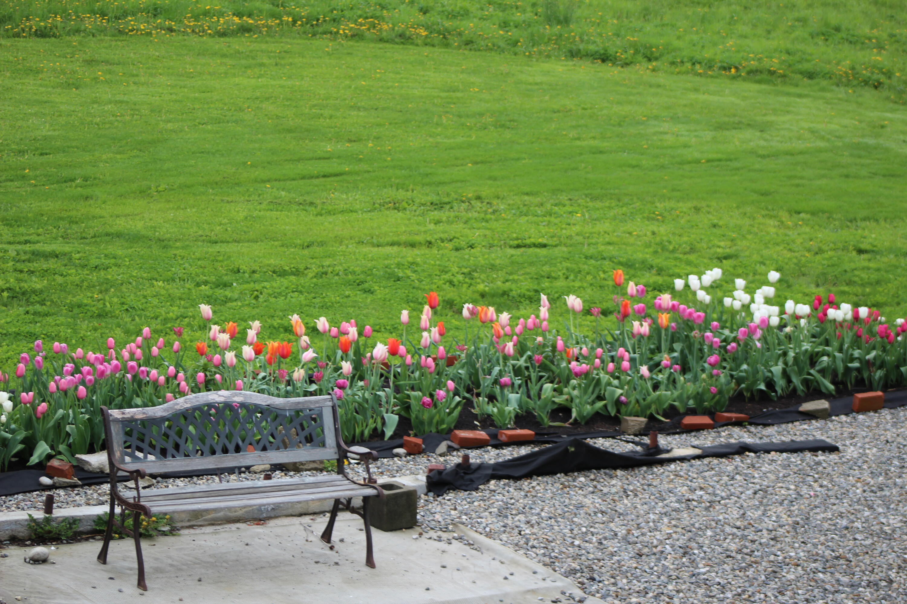 1242 Clinton Avenue Waterville, ME 04901 - Photo 45 of 69 Lovely place to relax