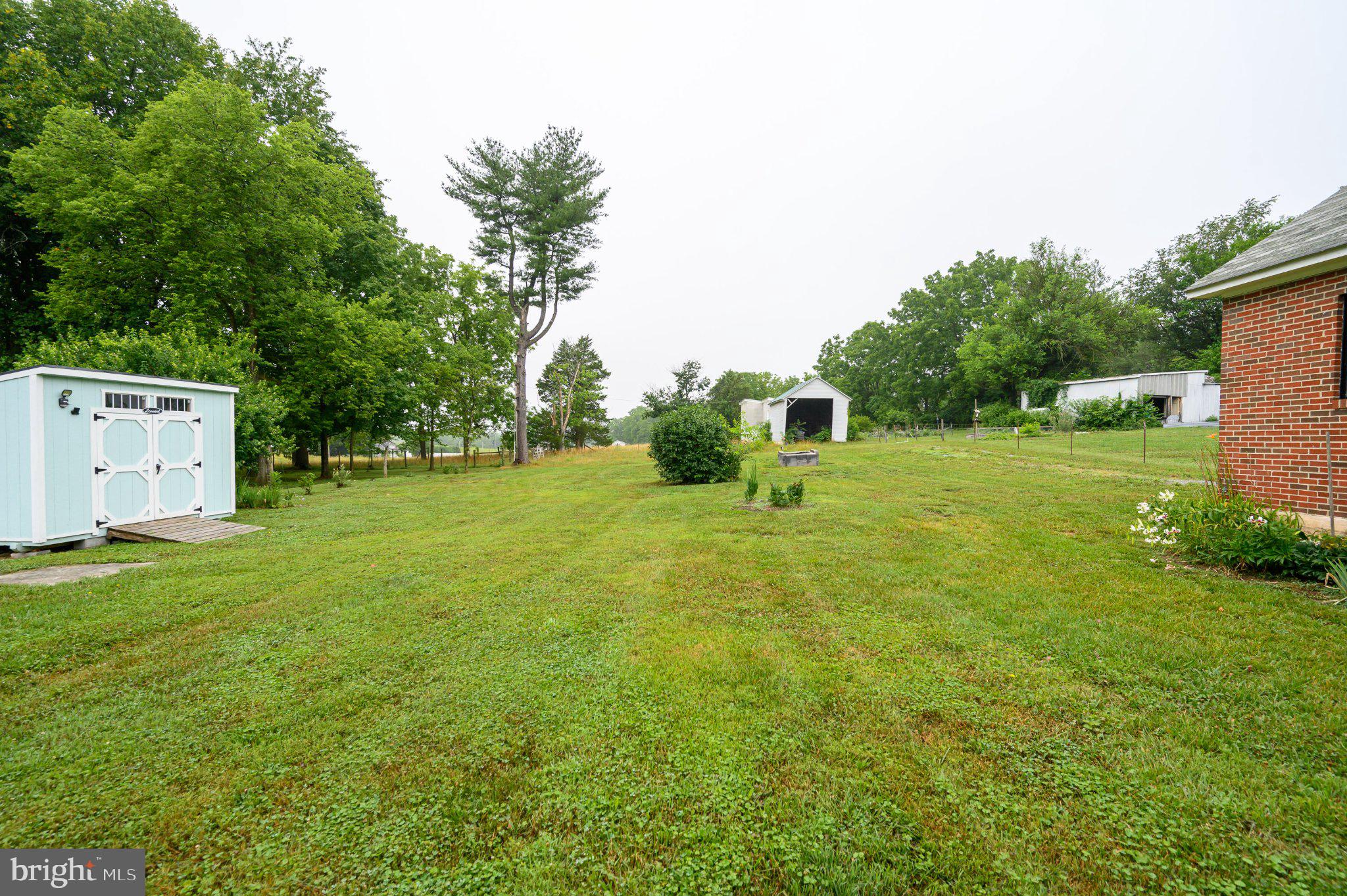 139 Bryarly Road Winchester, VA 22603 - Photo 65 of 76 Spacious green oasis awaits you.