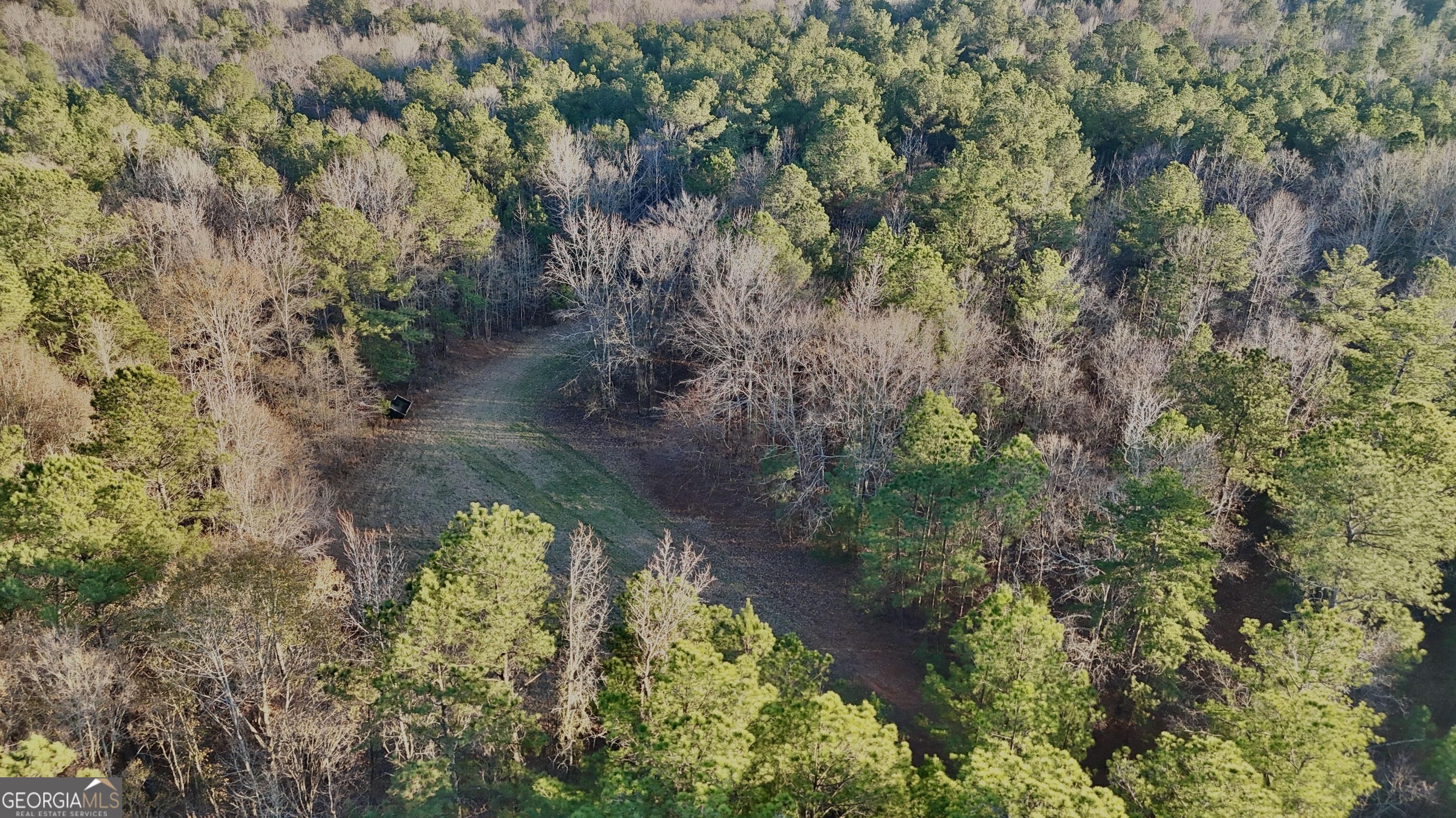 0 Cunningham Road Greensboro, GA 30642 - Photo 13 of 90