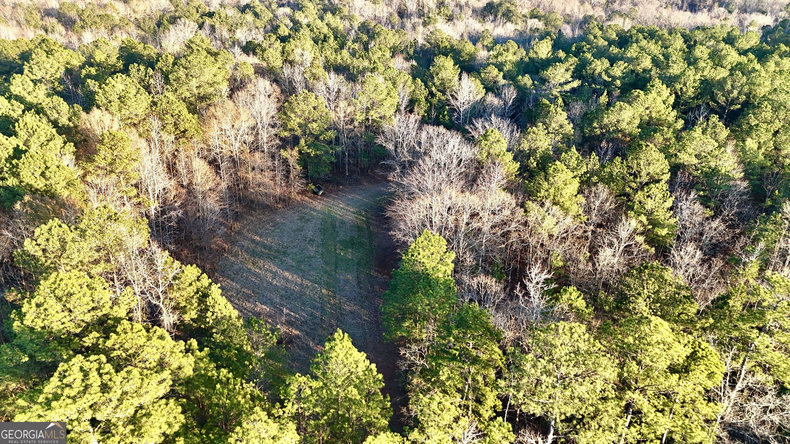 0 Cunningham Road Greensboro, GA 30642 - Photo 14 of 90 a backyard of a house with lots of green space