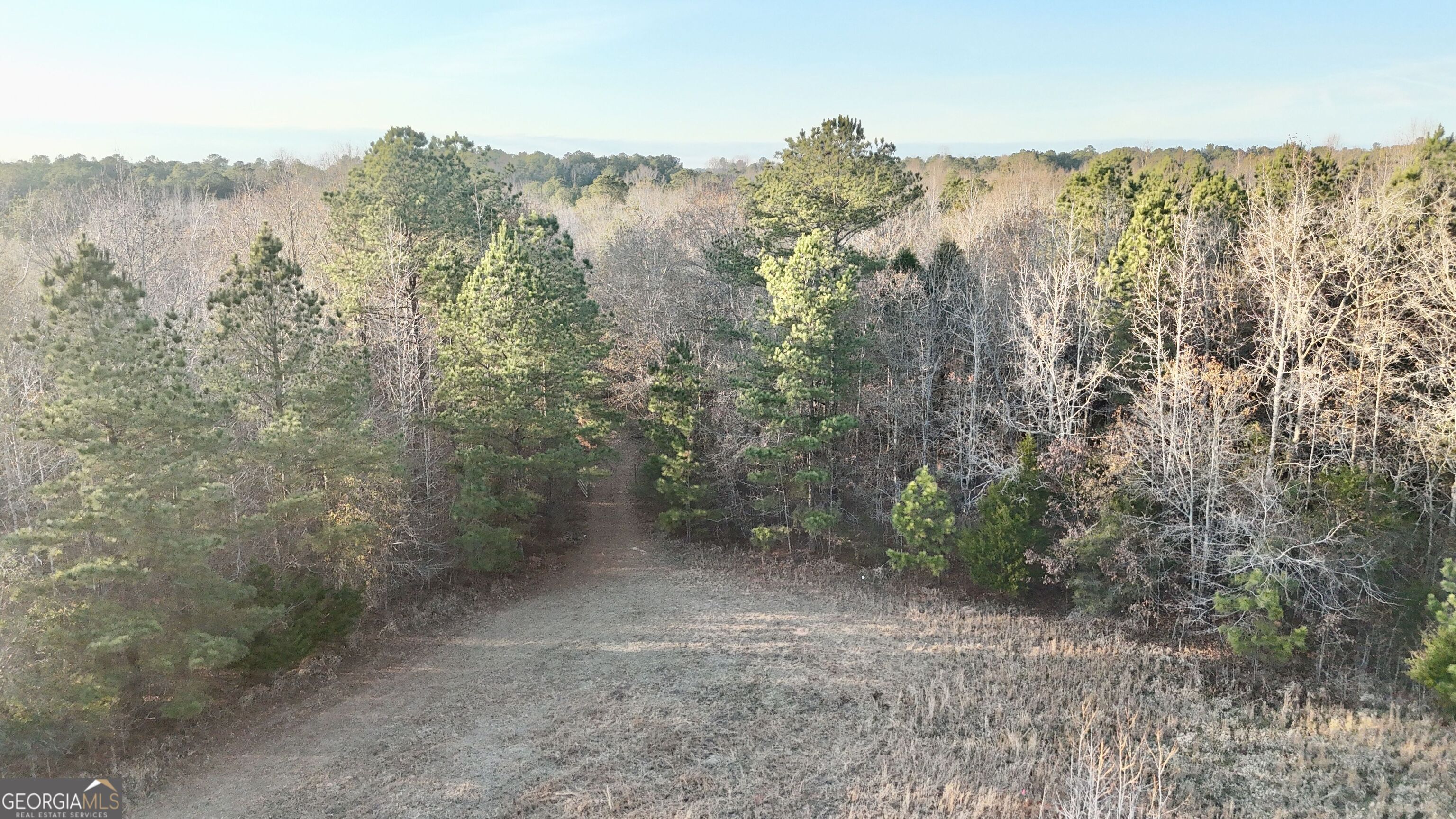 0 Cunningham Road Greensboro, GA 30642 - Photo 15 of 90 a view of a forest with mountains in the background