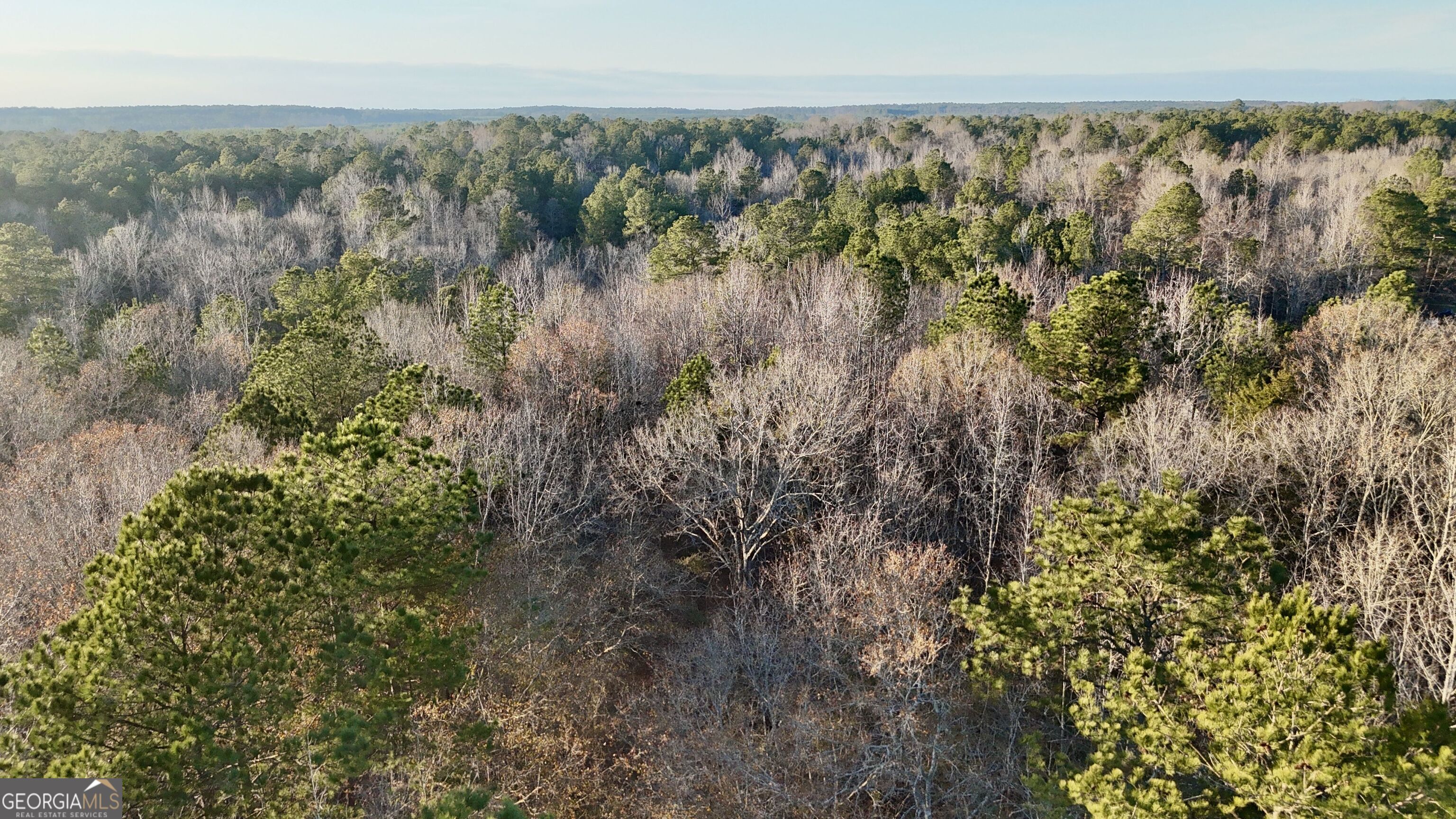 0 Cunningham Road Greensboro, GA 30642 - Photo 16 of 90