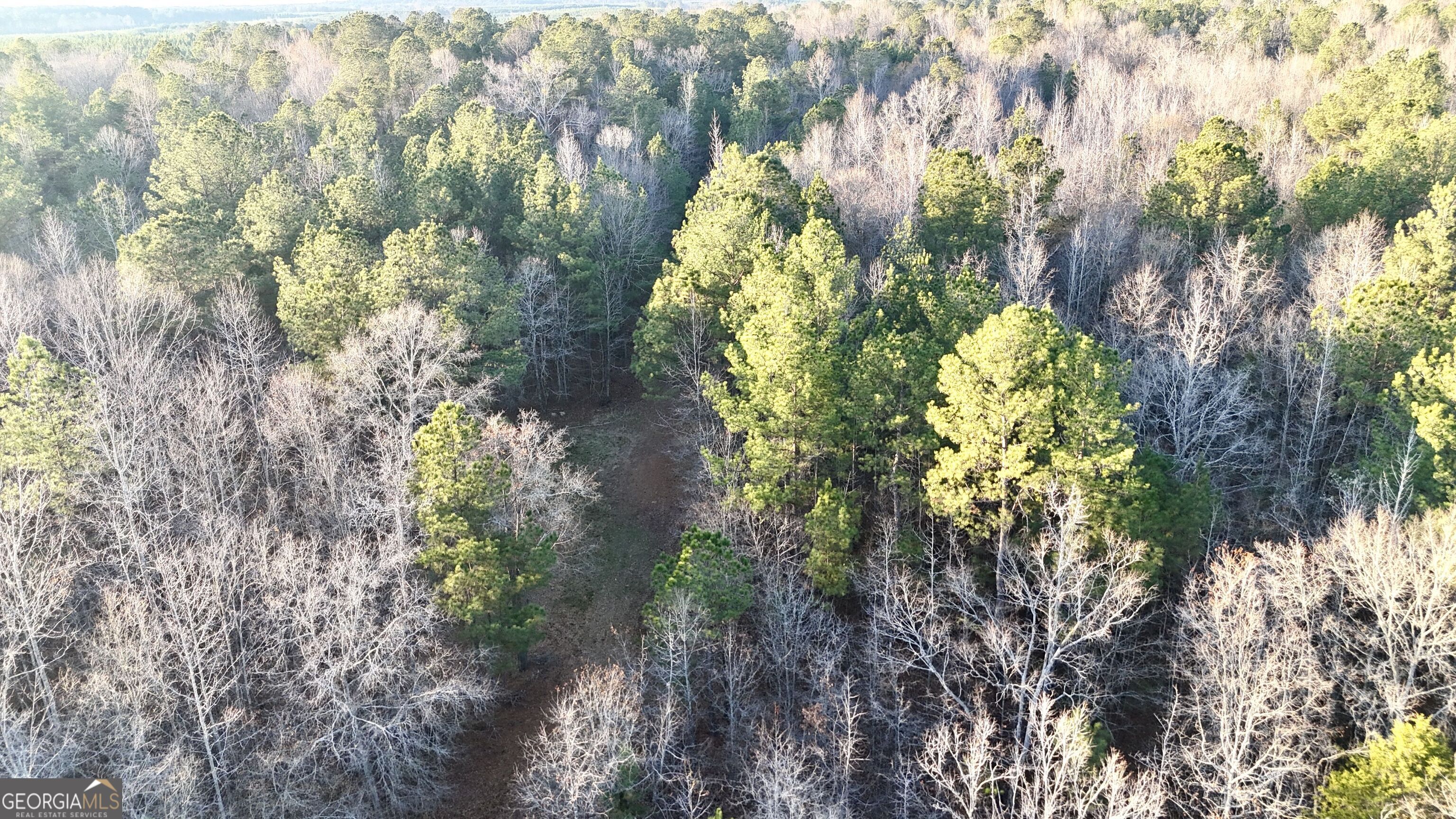 0 Cunningham Road Greensboro, GA 30642 - Photo 17 of 90 a map view of location