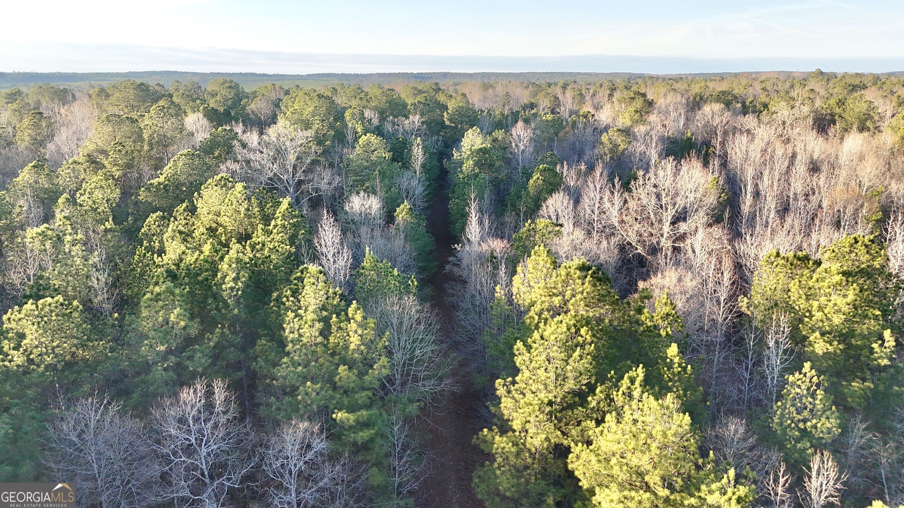 0 Cunningham Road Greensboro, GA 30642 - Photo 18 of 90
