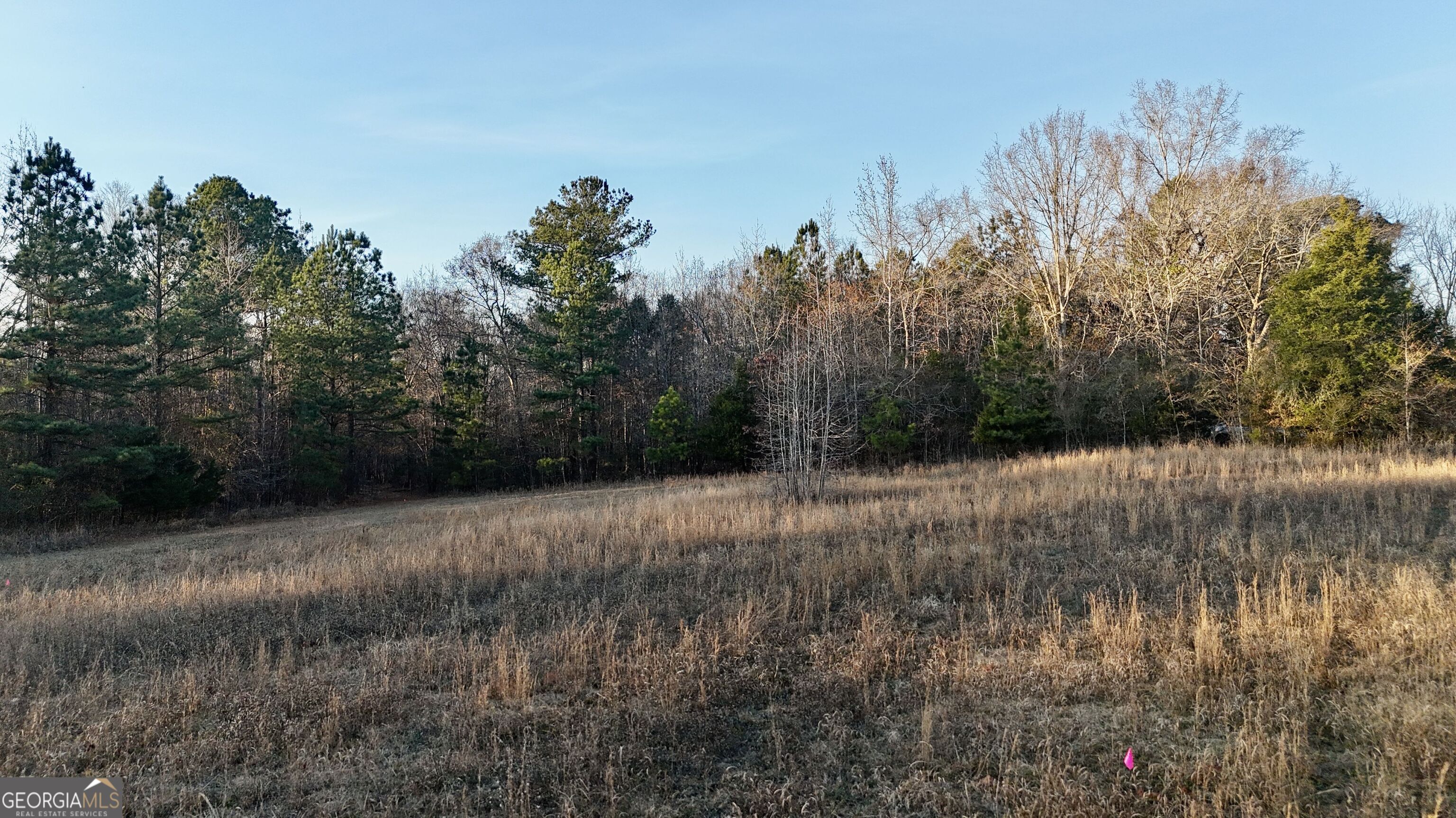0 Cunningham Road Greensboro, GA 30642 - Photo 20 of 90 a view of a yard with a tree