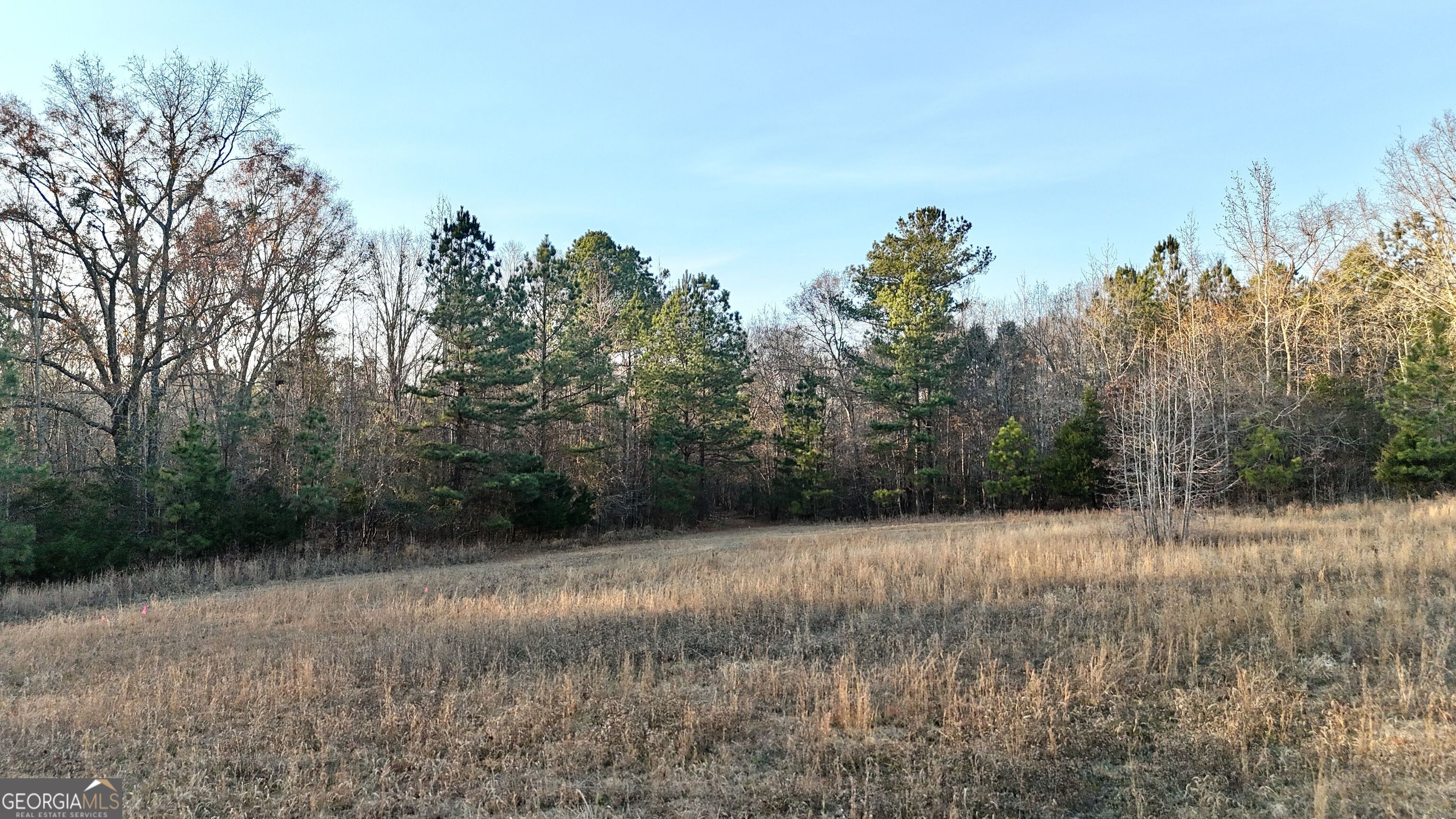 0 Cunningham Road Greensboro, GA 30642 - Photo 21 of 90 a view of a forest