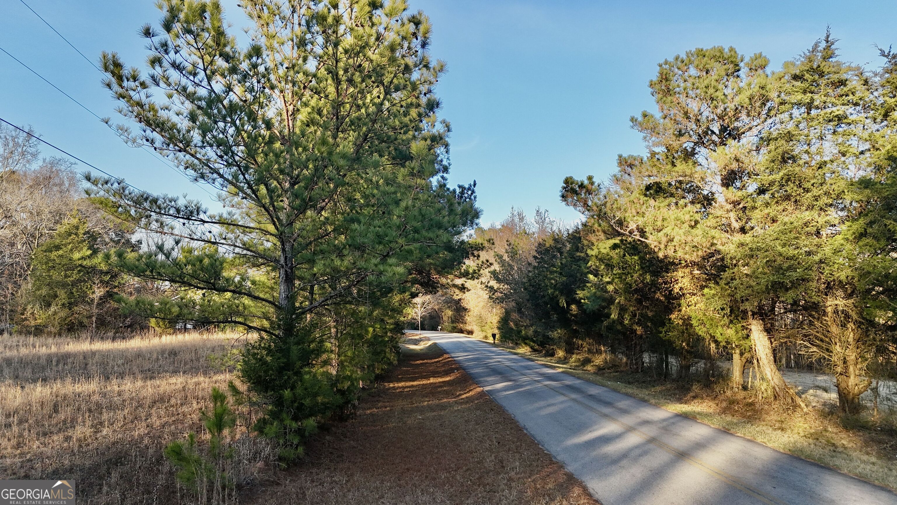 0 Cunningham Road Greensboro, GA 30642 - Photo 22 of 90 a view of a yard with plants and trees
