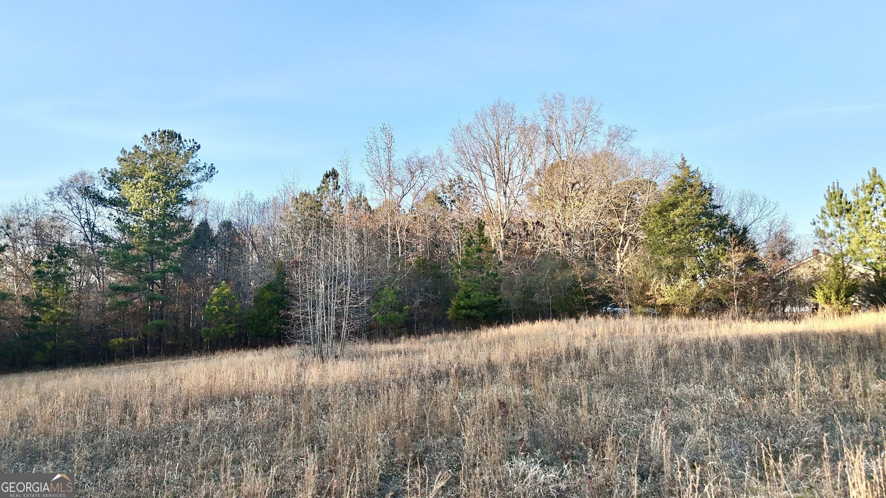 0 Cunningham Road Greensboro, GA 30642 - Photo 23 of 90