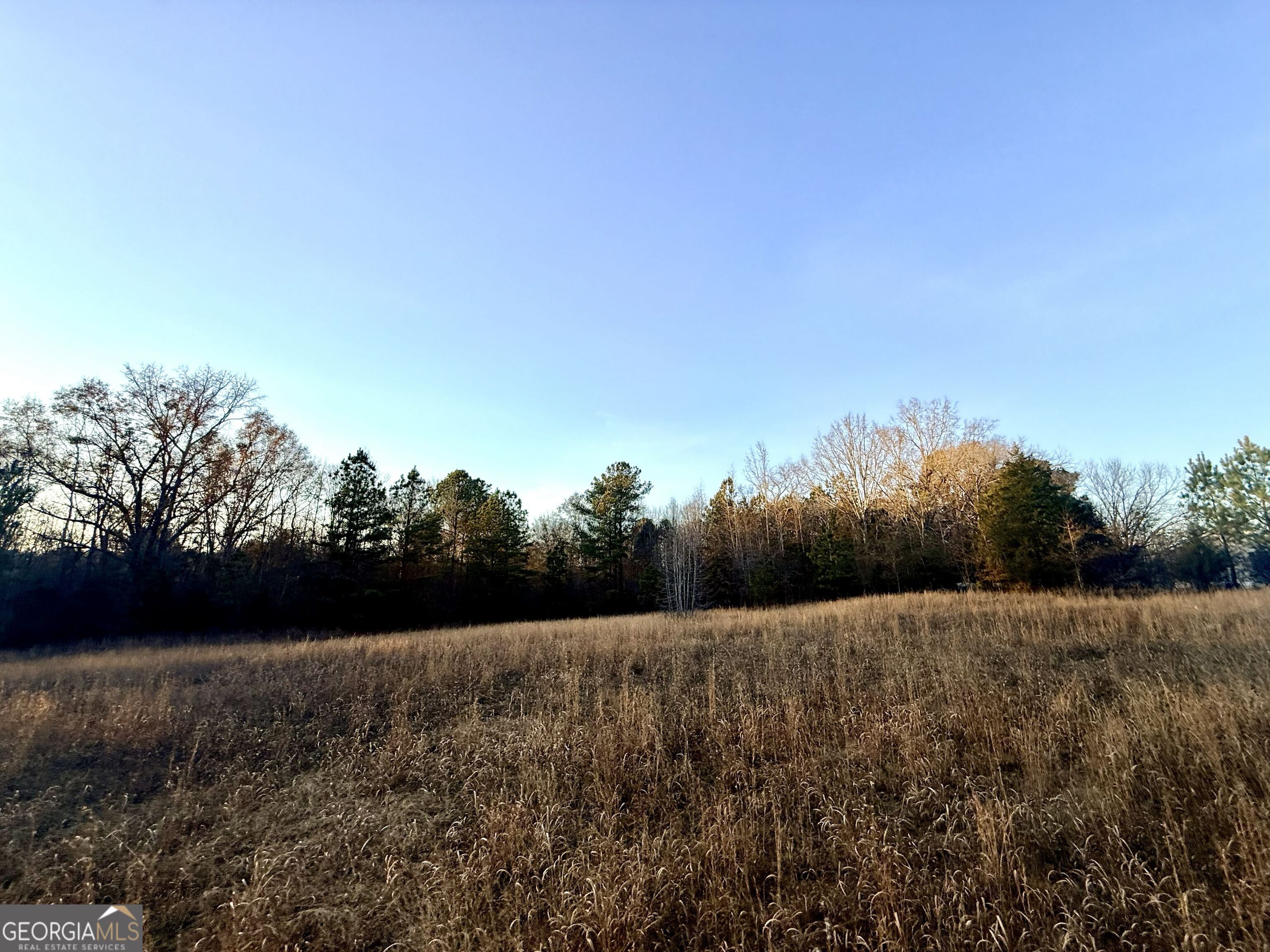0 Cunningham Road Greensboro, GA 30642 - Photo 27 of 90