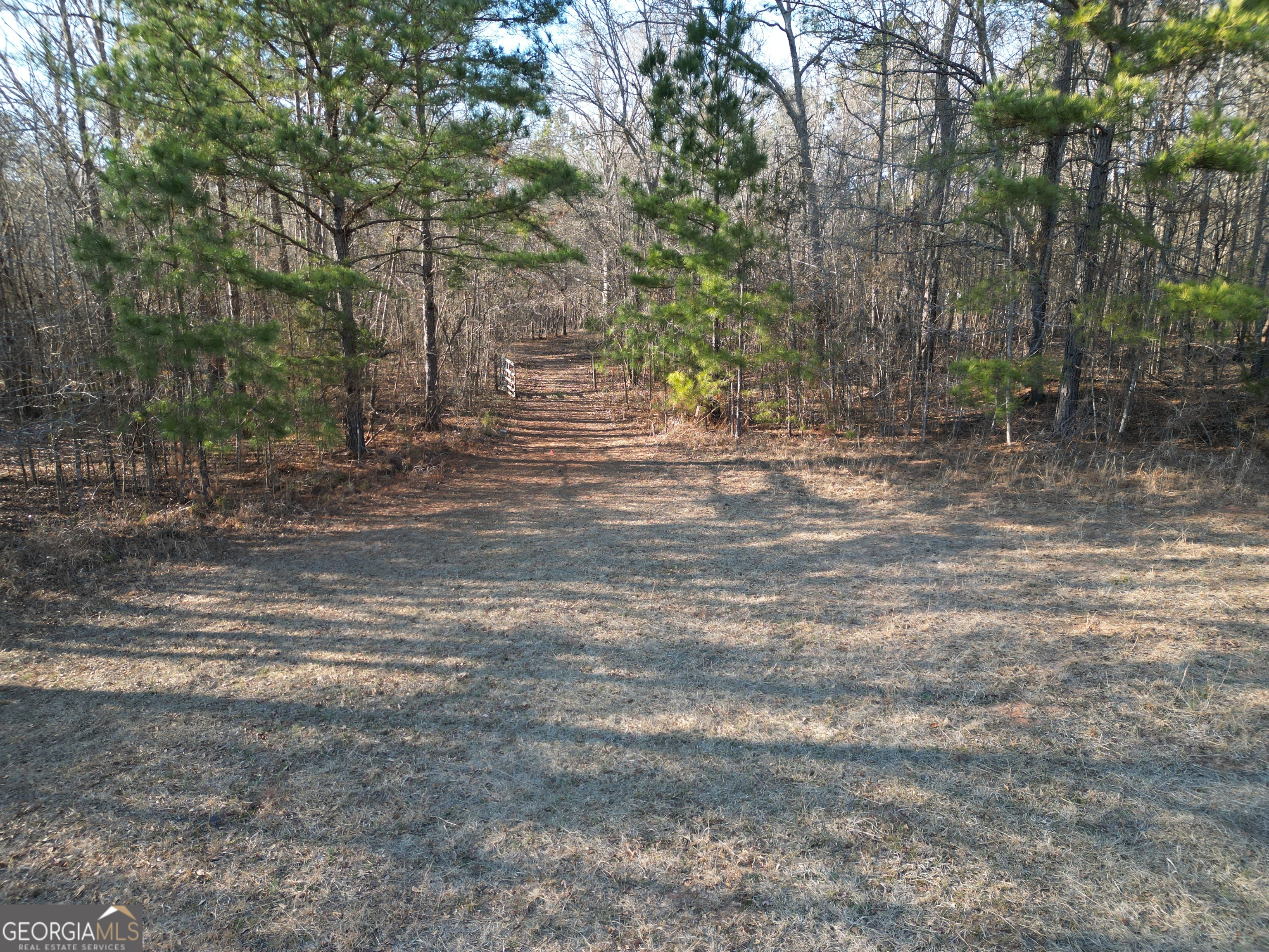 0 Cunningham Road Greensboro, GA 30642 - Photo 28 of 90 a view of a yard with trees
