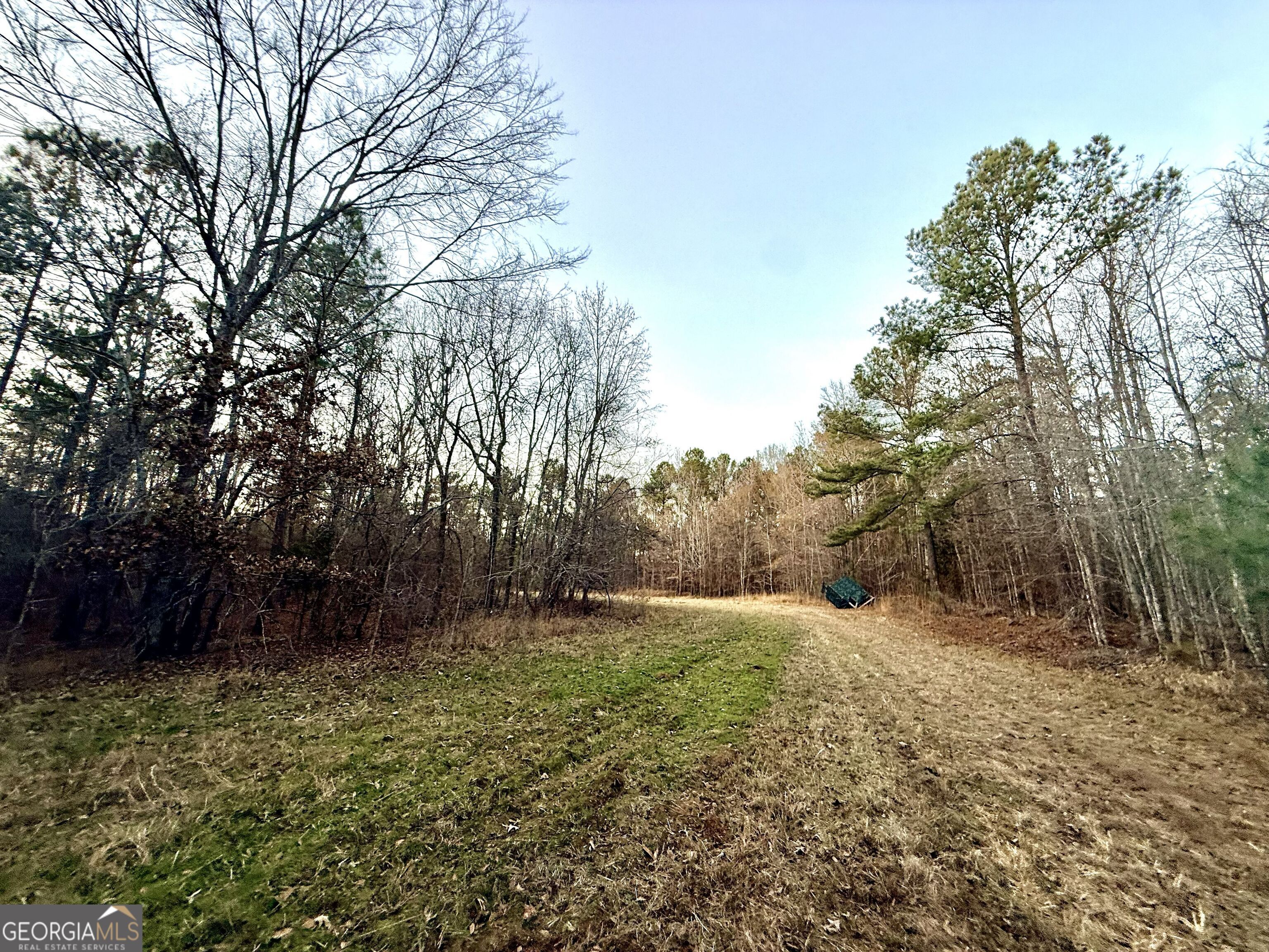 0 Cunningham Road Greensboro, GA 30642 - Photo 30 of 90 a big yard with lots of green space and house