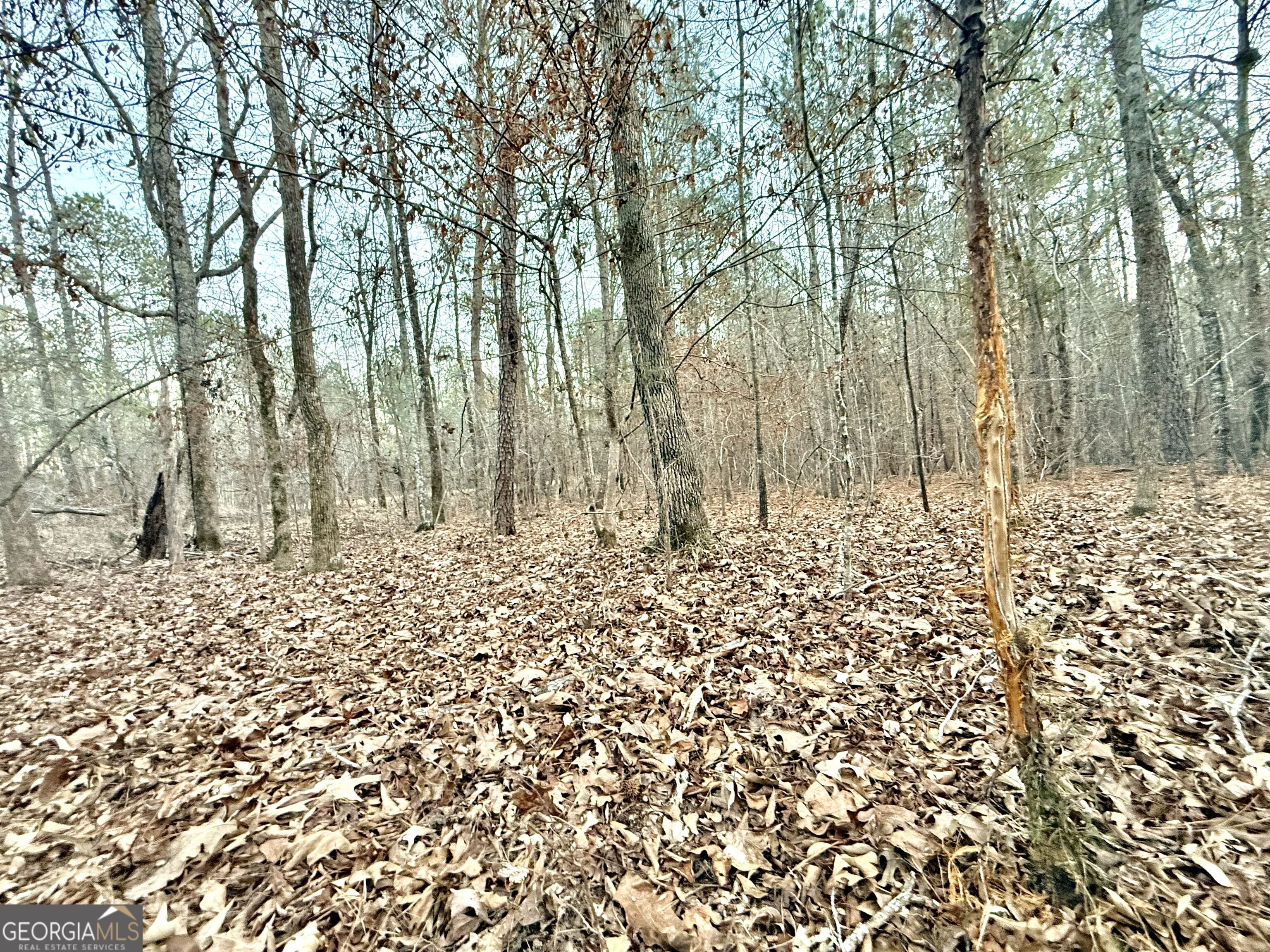 0 Cunningham Road Greensboro, GA 30642 - Photo 31 of 90 a view of a backyard of the house