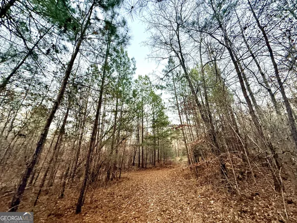 a view of a yard with trees