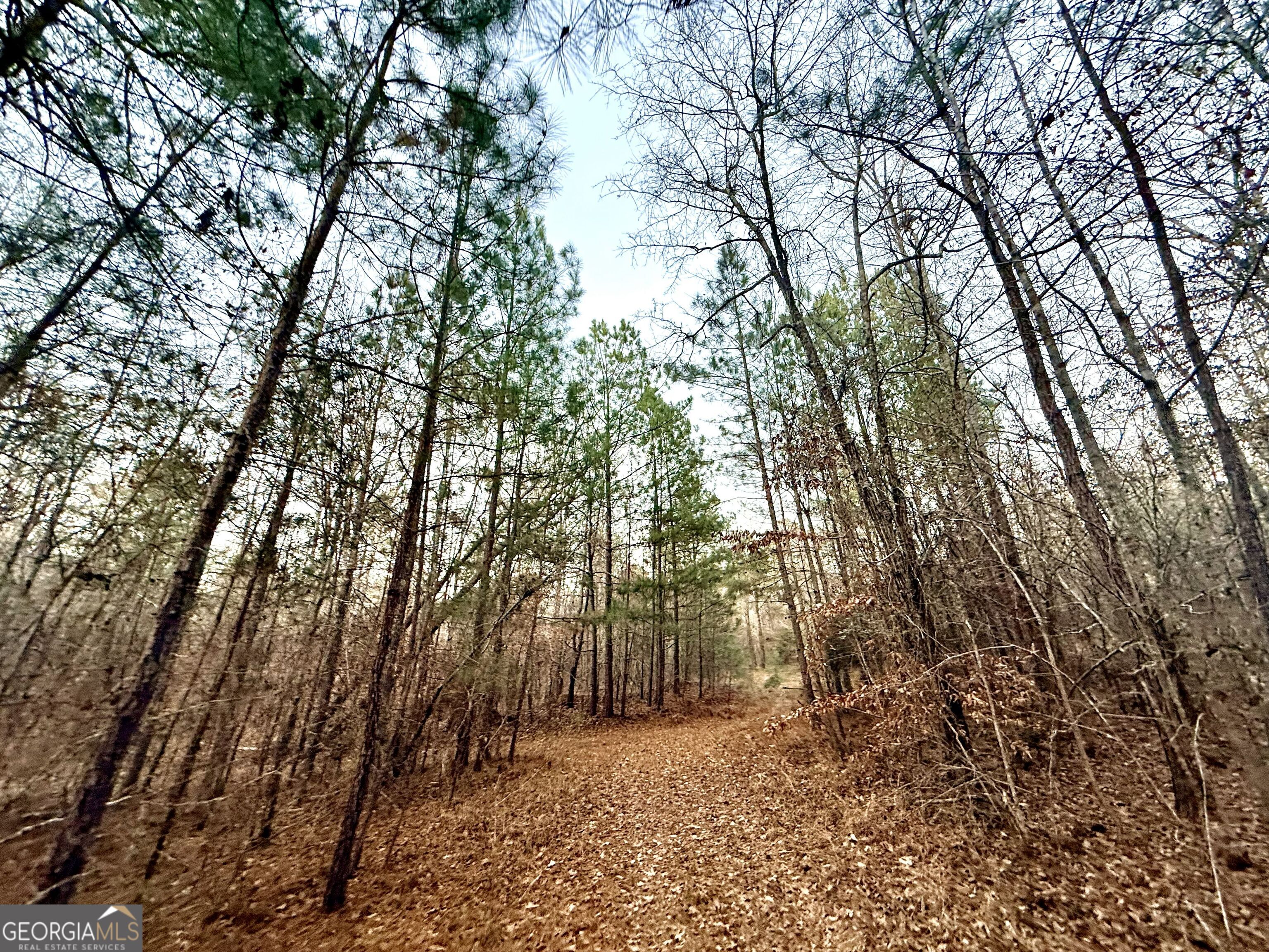 0 Cunningham Road Greensboro, GA 30642 - Photo 32 of 90