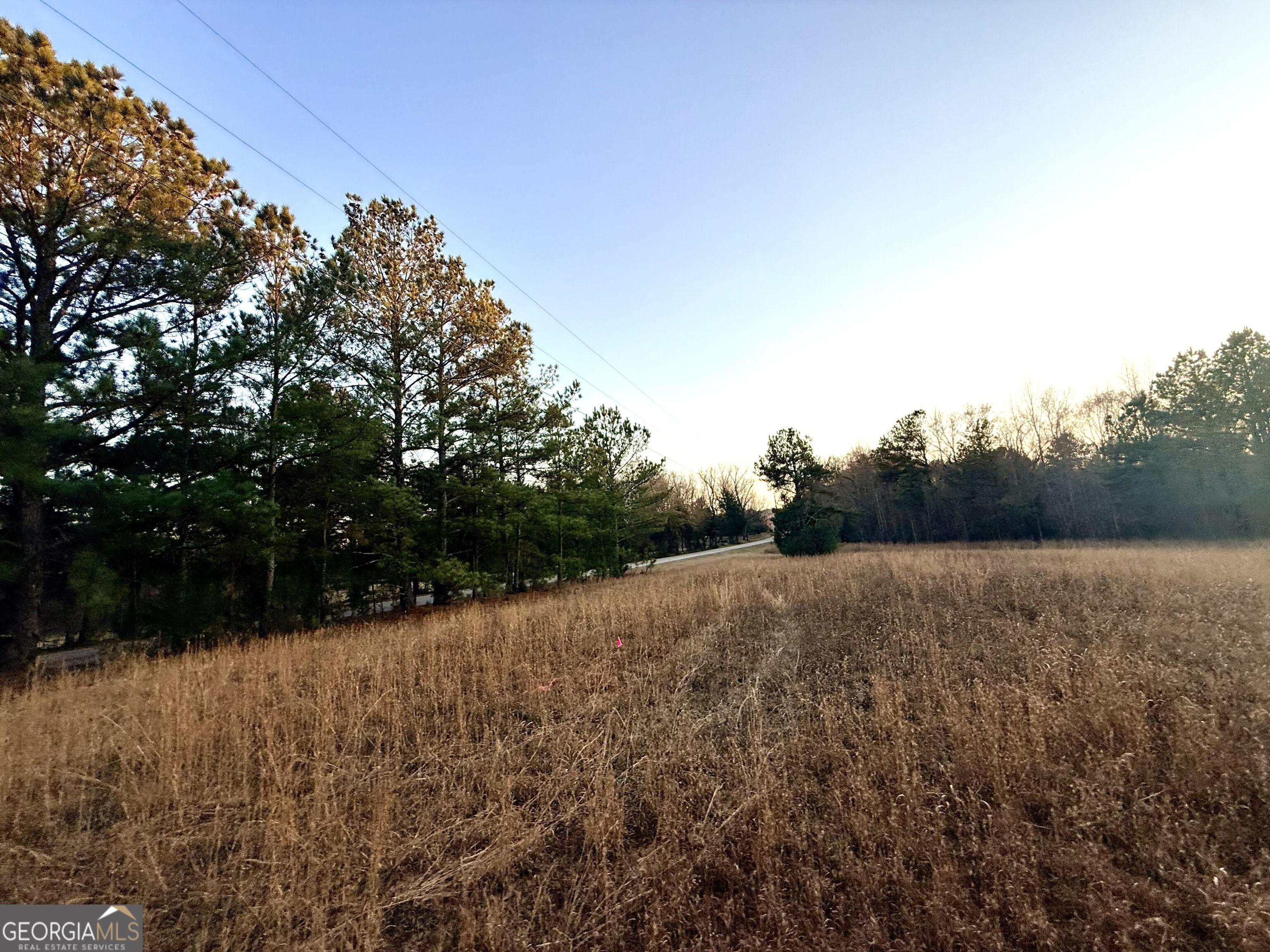 0 Cunningham Road Greensboro, GA 30642 - Photo 34 of 90 a view of mountain view with trees