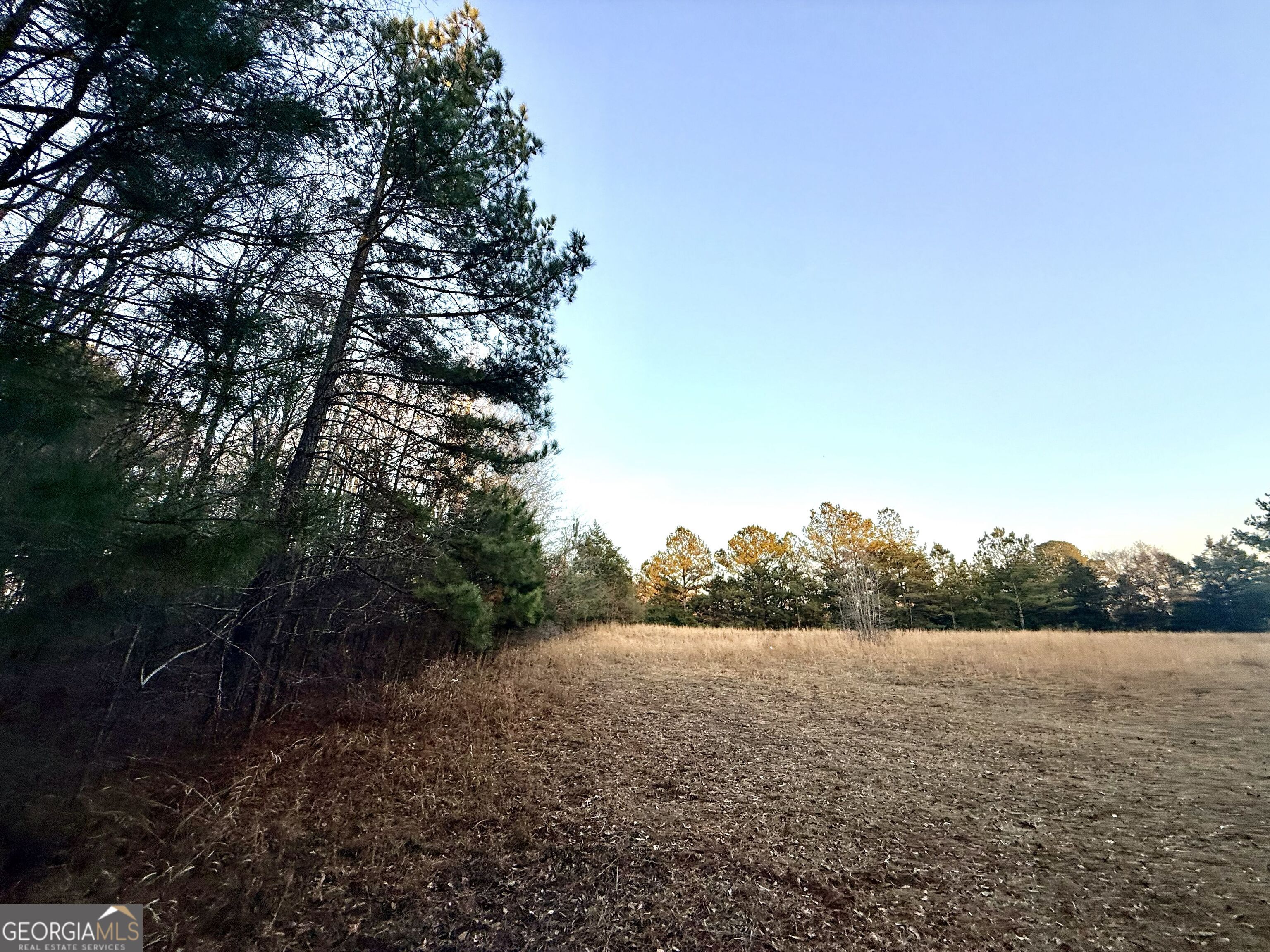 0 Cunningham Road Greensboro, GA 30642 - Photo 36 of 90