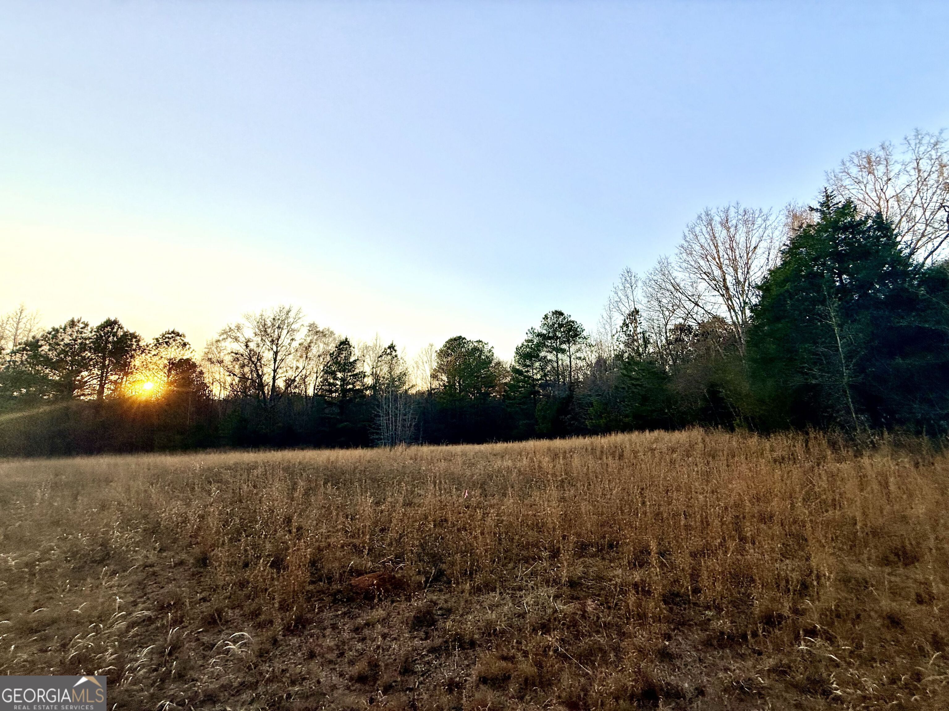 0 Cunningham Road Greensboro, GA 30642 - Photo 38 of 90