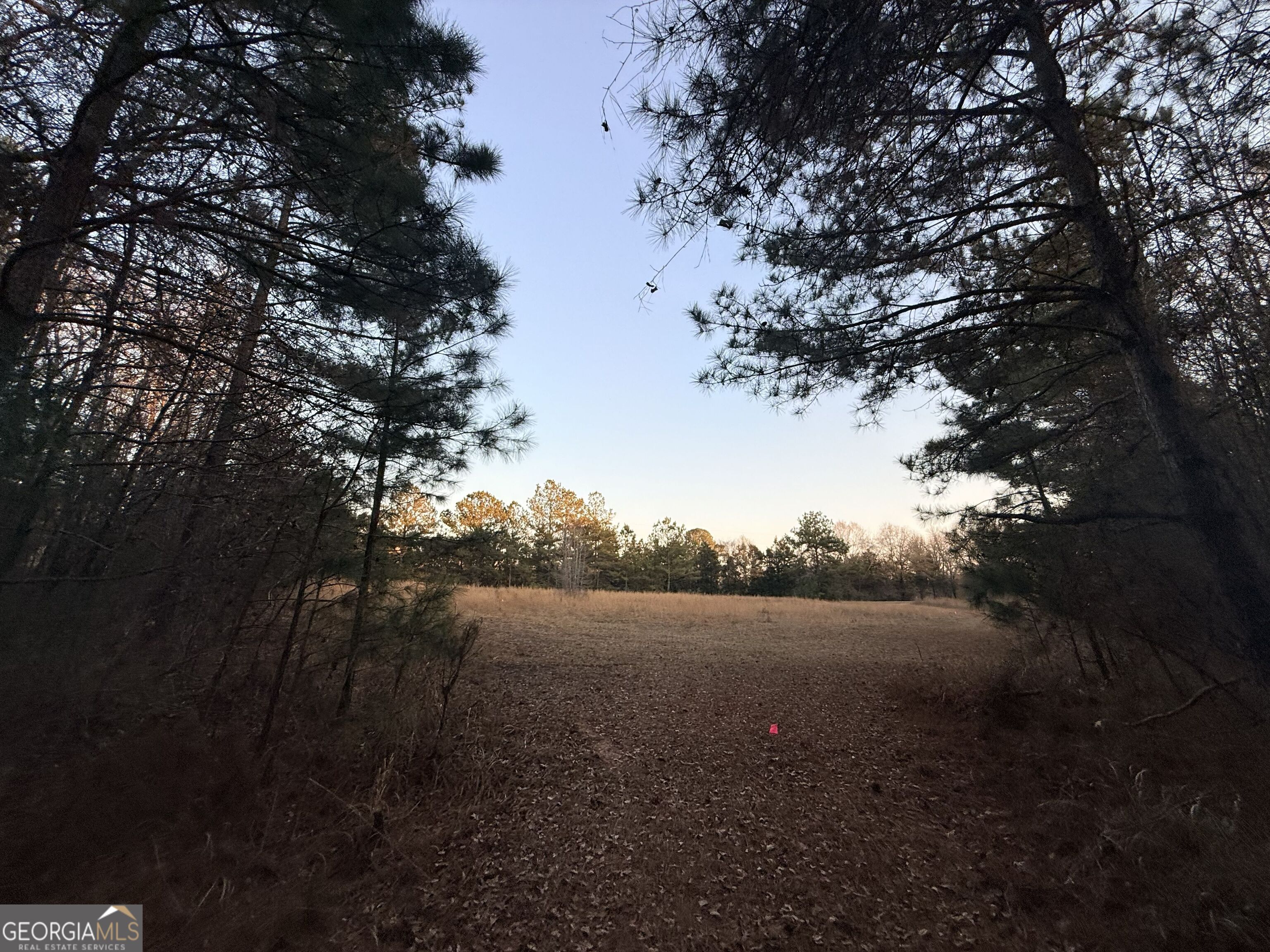 0 Cunningham Road Greensboro, GA 30642 - Photo 40 of 90