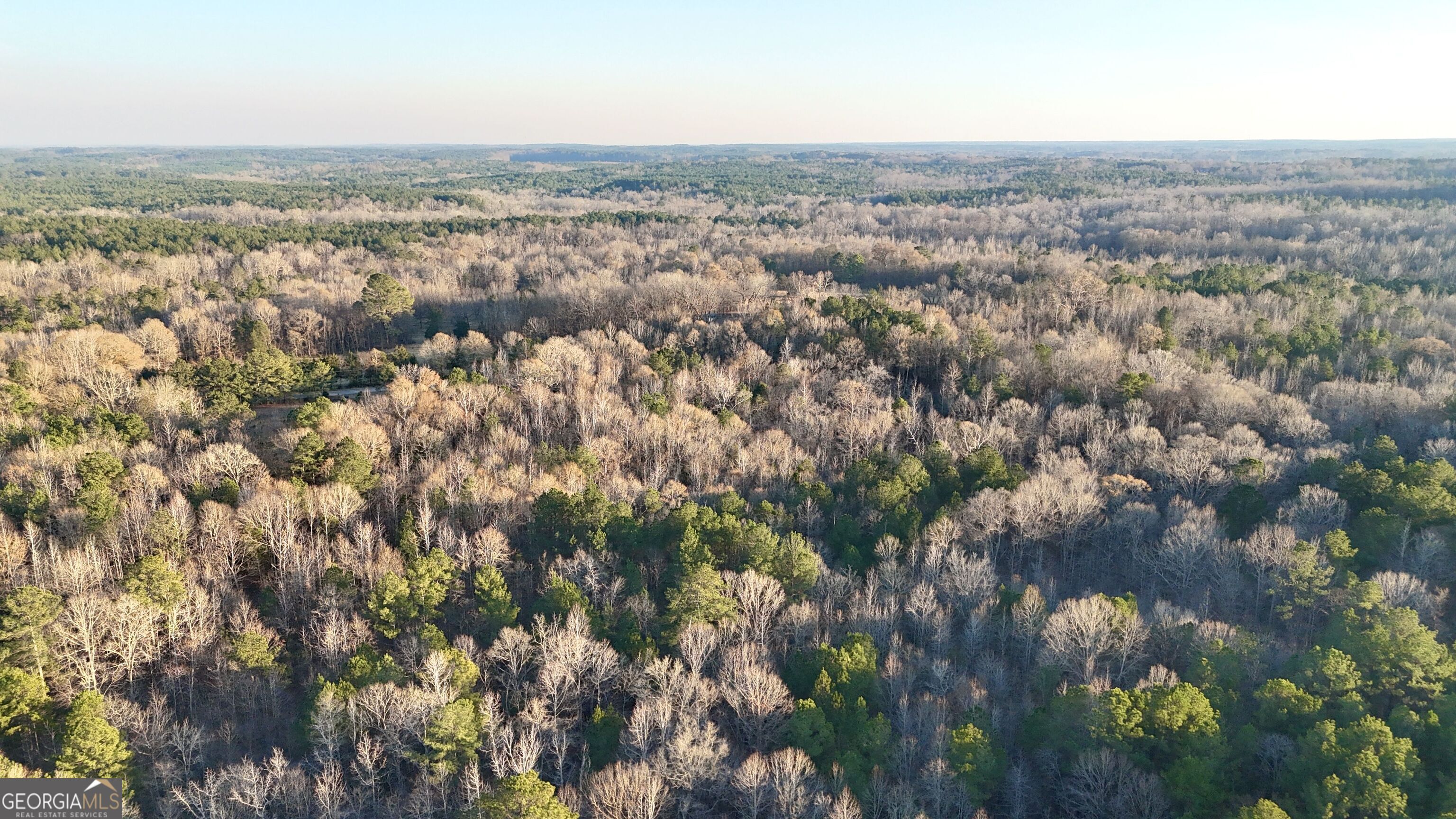0 Cunningham Road Greensboro, GA 30642 - Photo 4 of 90 an aerial view of multiple house