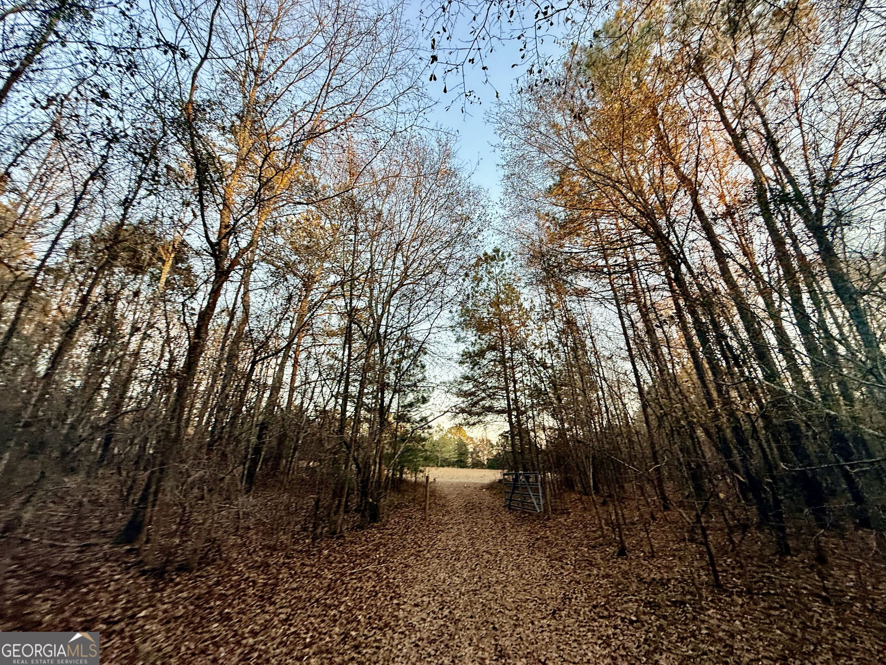 0 Cunningham Road Greensboro, GA 30642 - Photo 43 of 90 a view of a yard with a tree