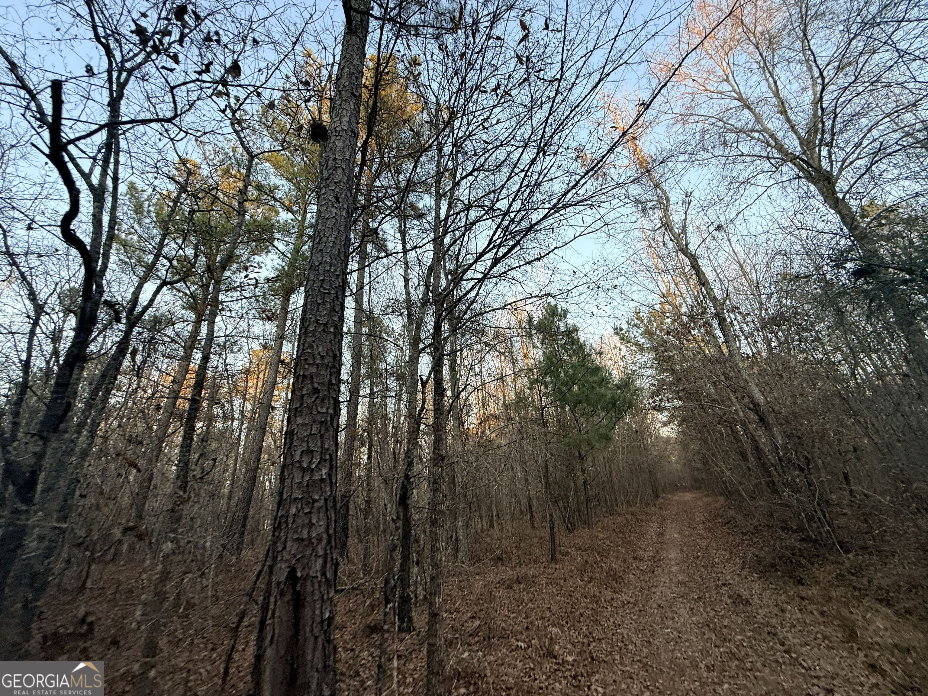 0 Cunningham Road Greensboro, GA 30642 - Photo 45 of 90