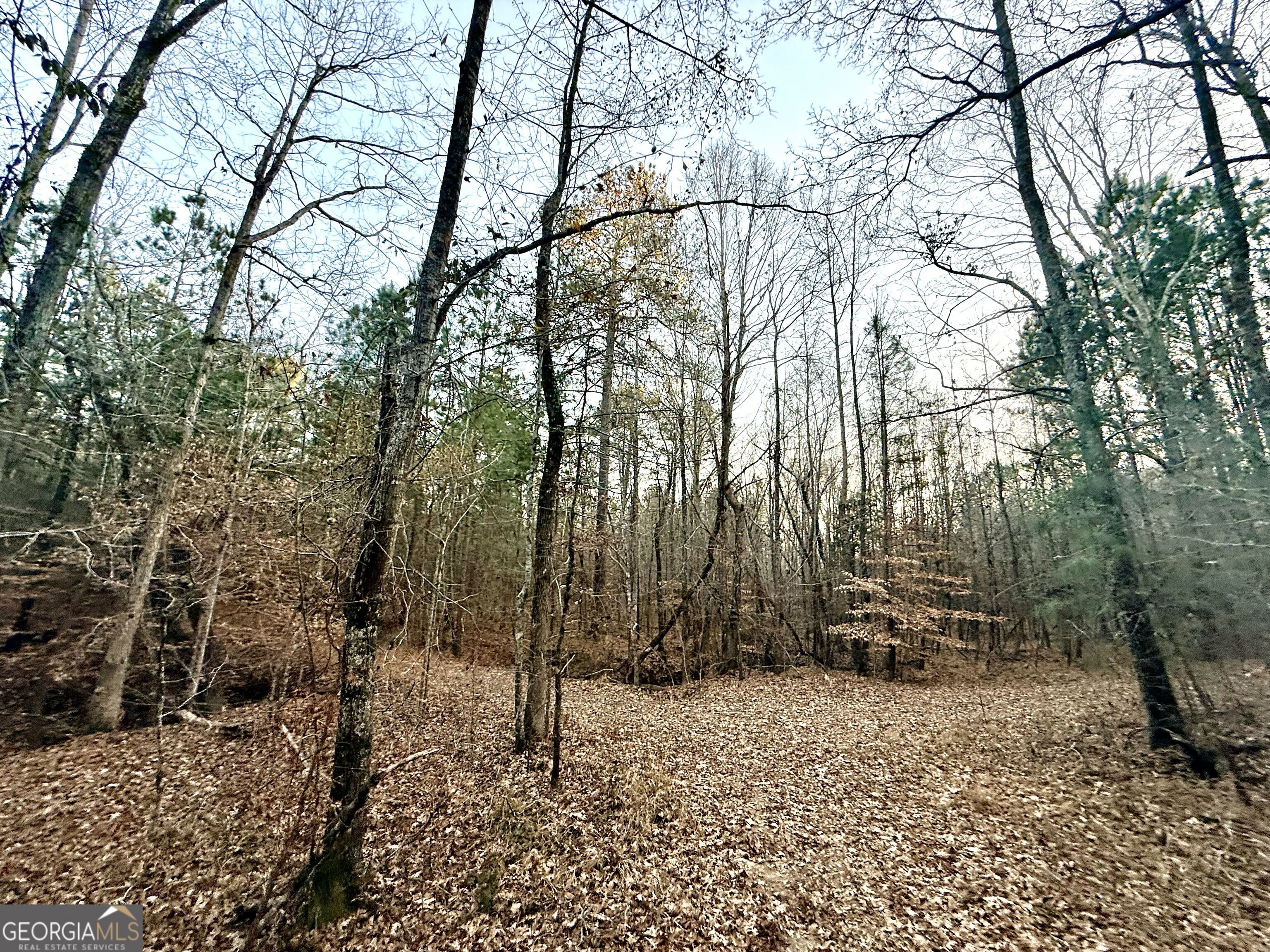 0 Cunningham Road Greensboro, GA 30642 - Photo 46 of 90 a backyard of a house with lots of trees