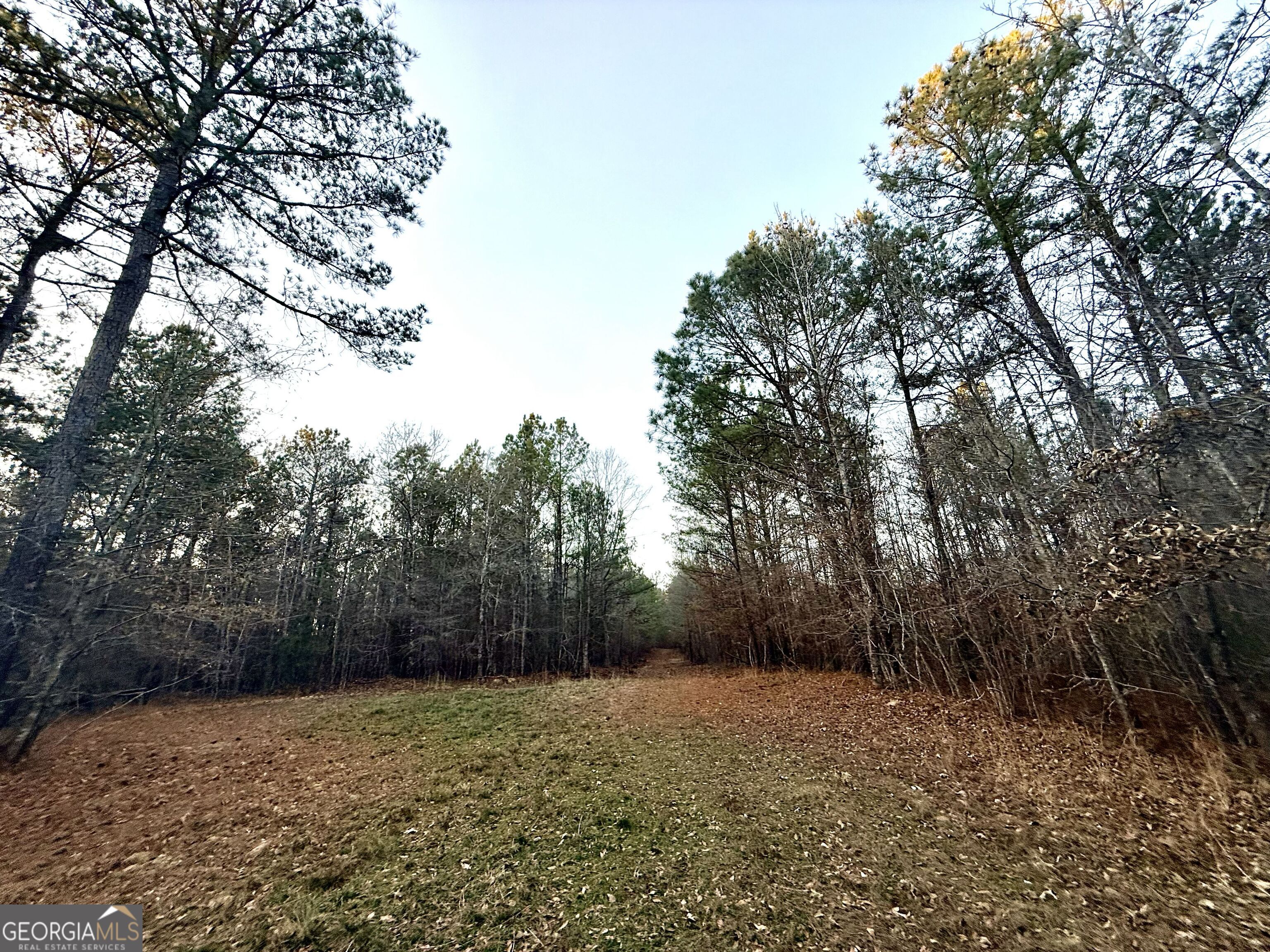 0 Cunningham Road Greensboro, GA 30642 - Photo 49 of 90