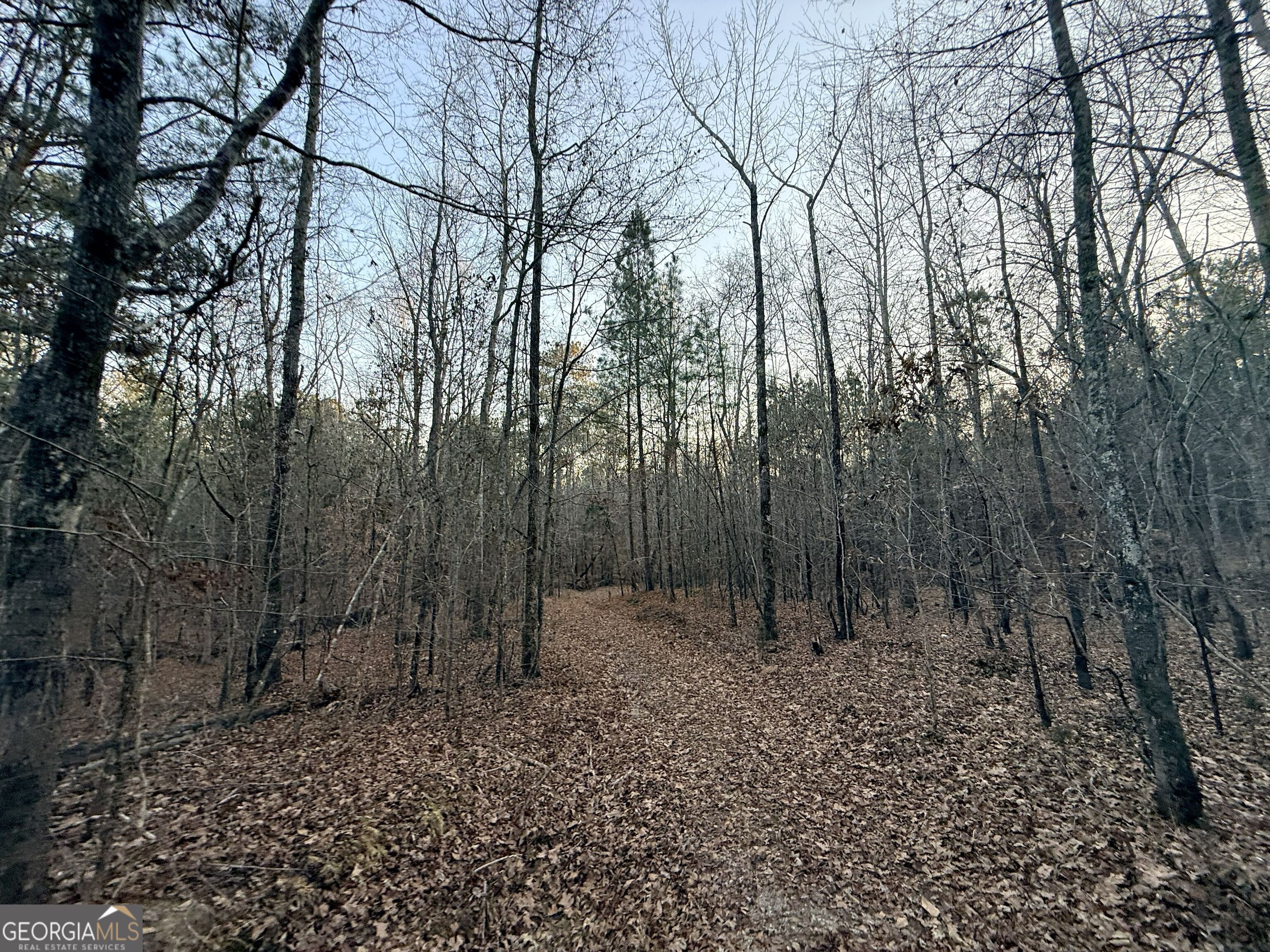 0 Cunningham Road Greensboro, GA 30642 - Photo 50 of 90 a view of backyard with green space